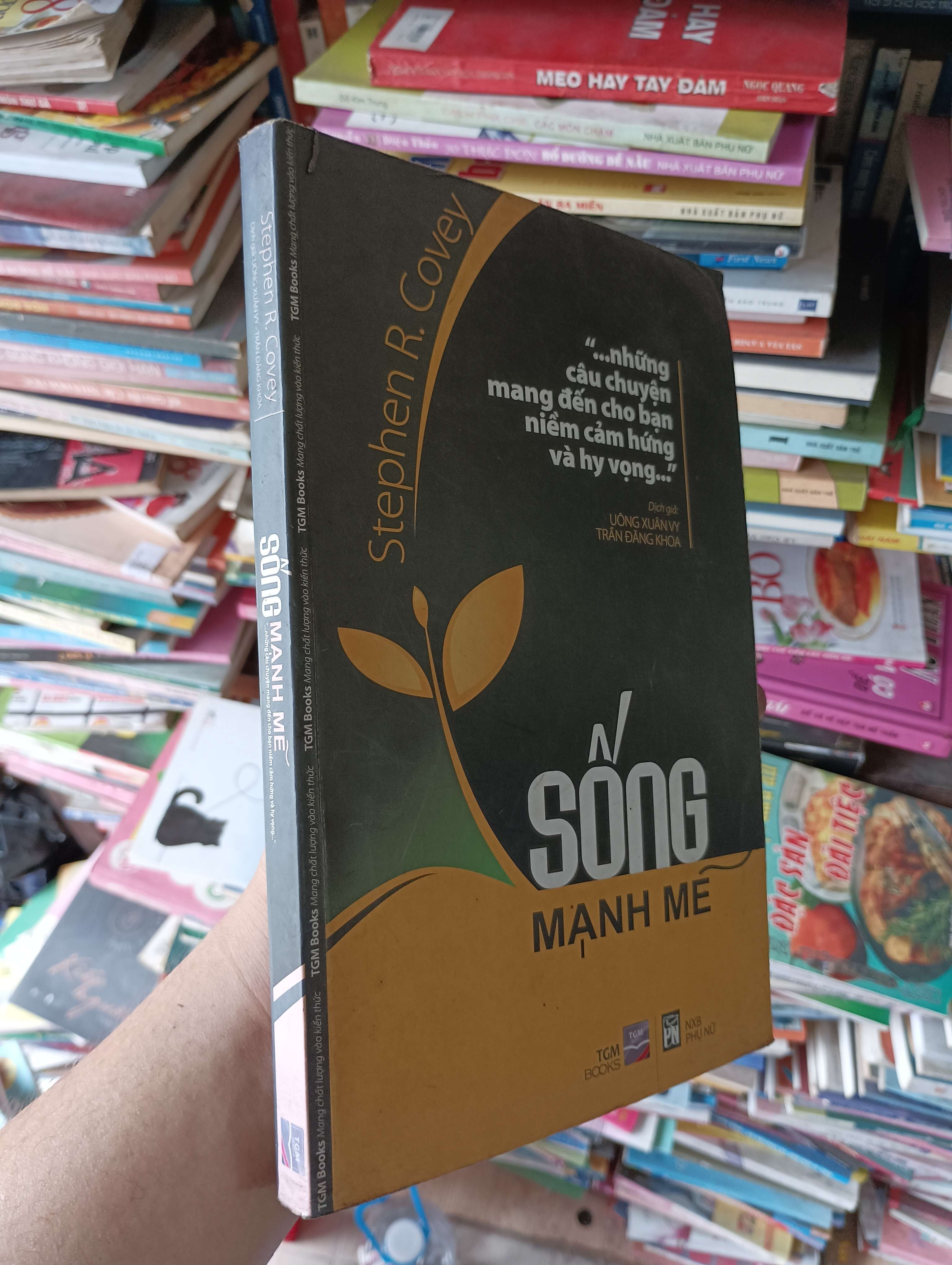Sống Mạnh Mẽ - Stephen R. Covey 2013 Mới 80% (Kỹ năng sống) OKBK1T1