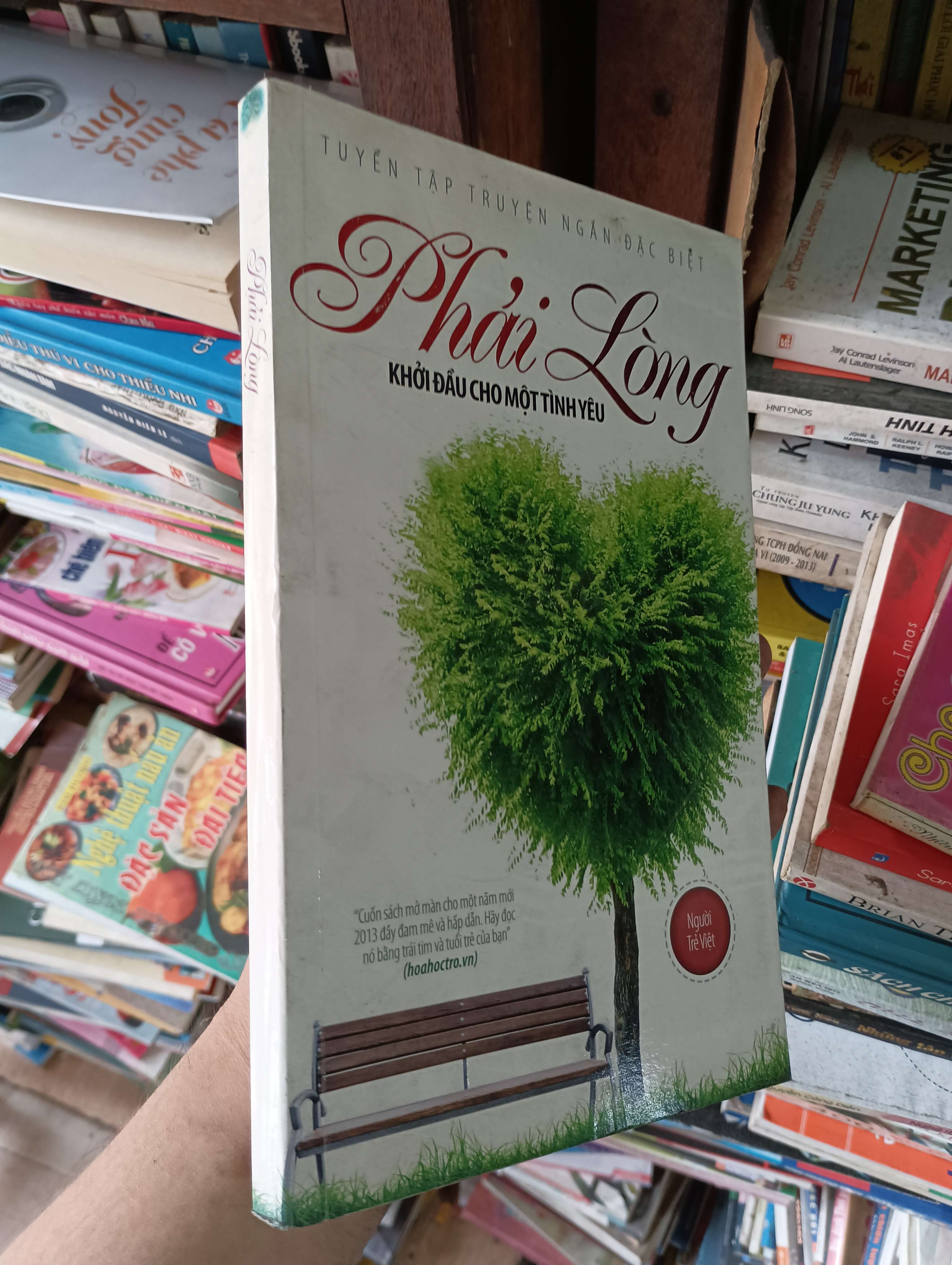 Phải Lòng (Khởi đầu cho một tình yêu) 2012 Mới 80% (Sách văn học) OKBK1T2
