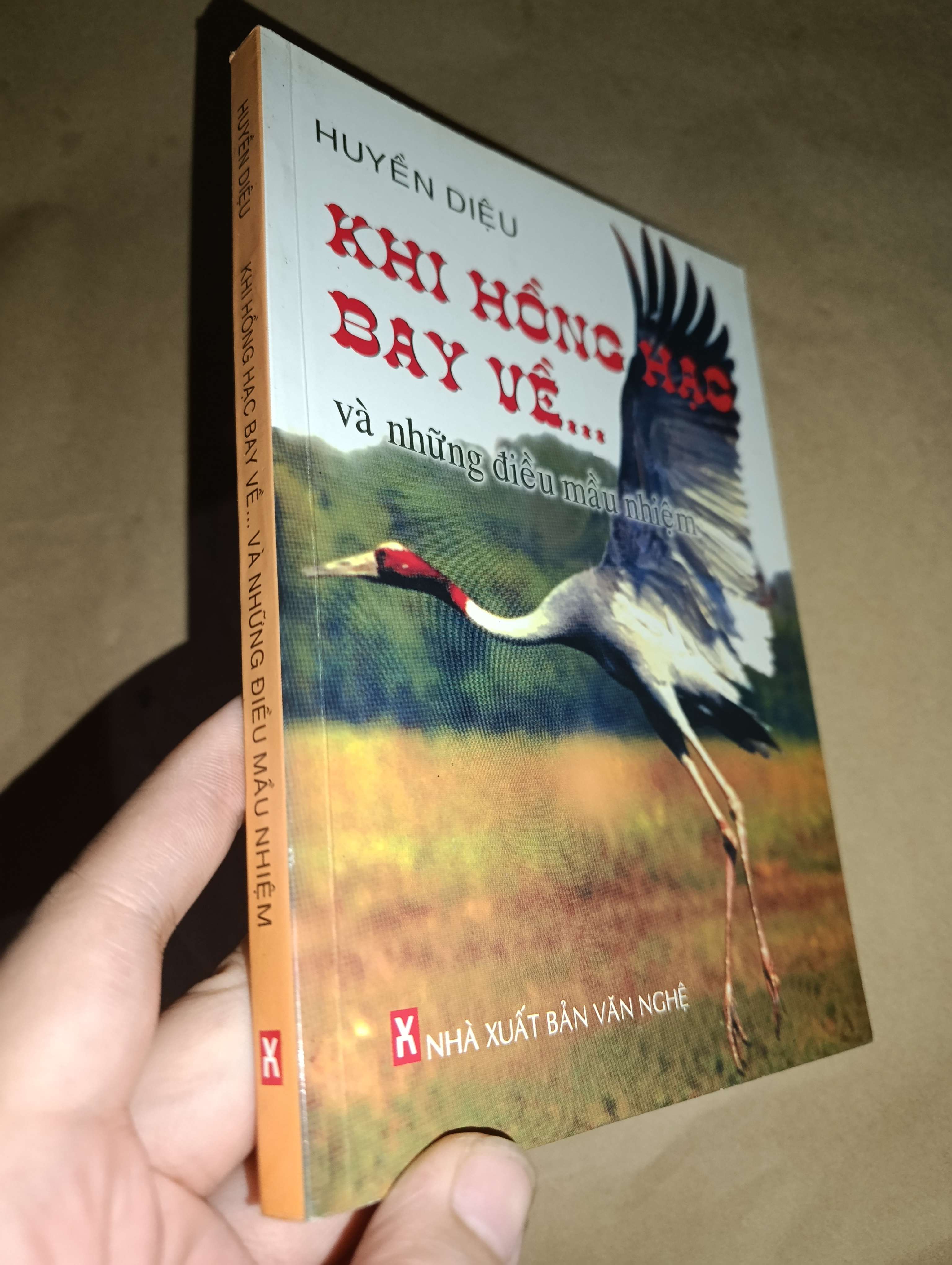 Khi hồng hạc bay về... và những điều mầu nhiệm - Huyền Diệu 2008 mới 70% có chữ (Sách kiến thức tổng hợp) GZB