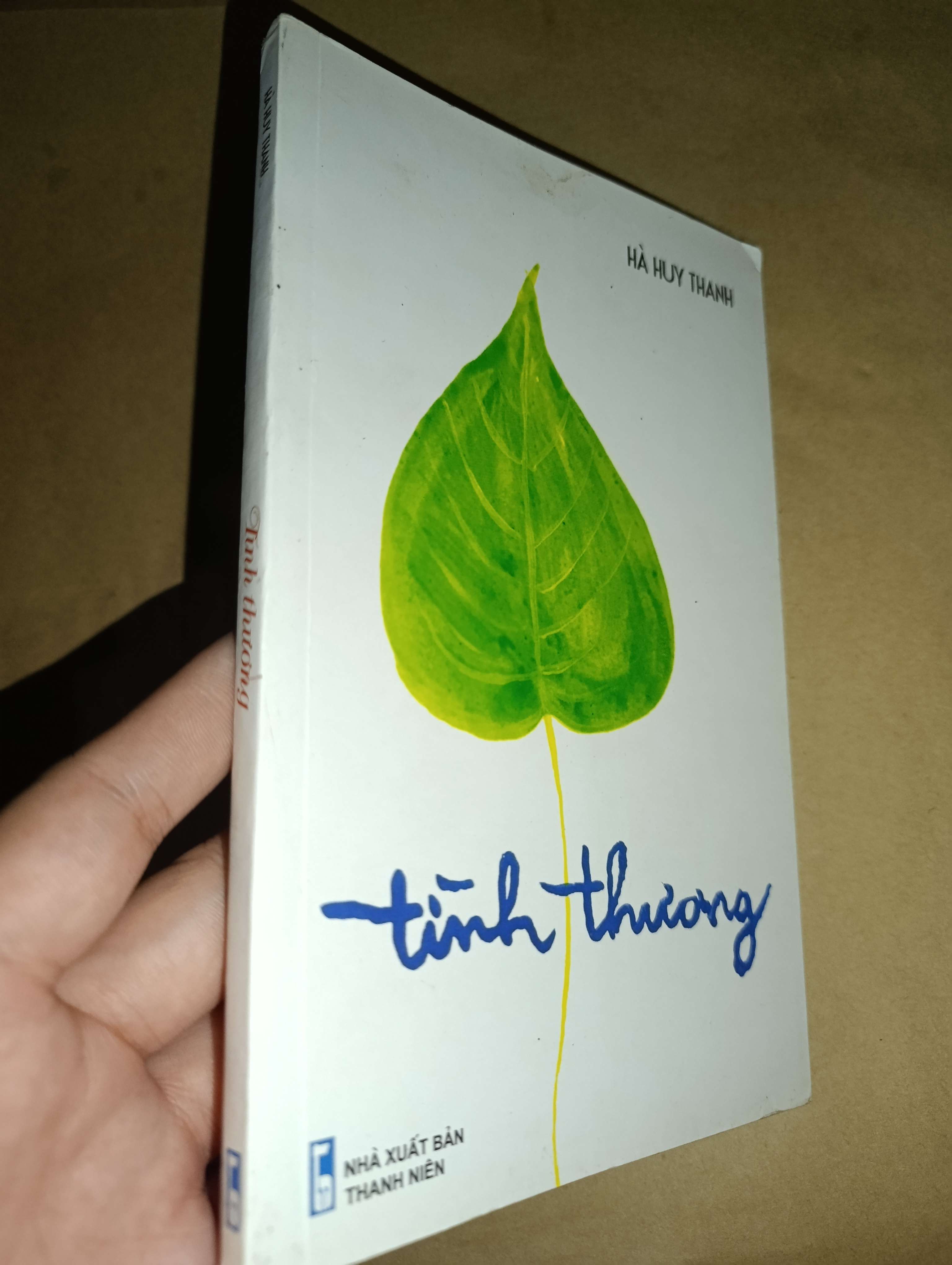 Tình thương - Hà Huy Thanh 2017 mới 80% (Sách văn học) GZB