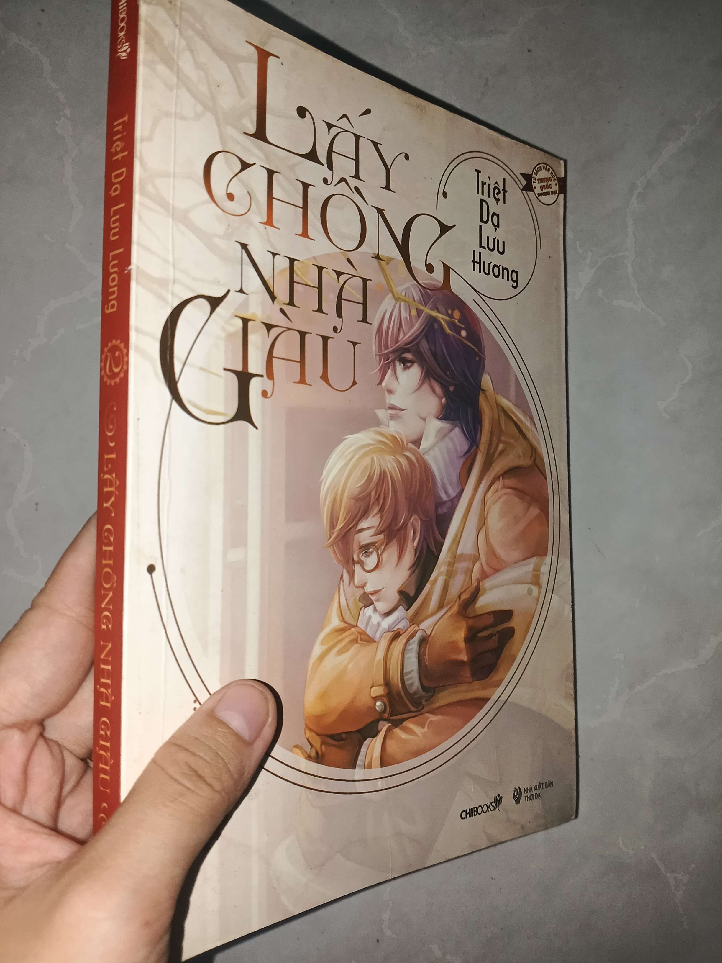 Lấy chồng nhà giàu tập 2 - Triệt Dạ Lưu Hương 2014 mới 80% (Sách văn học) GZB