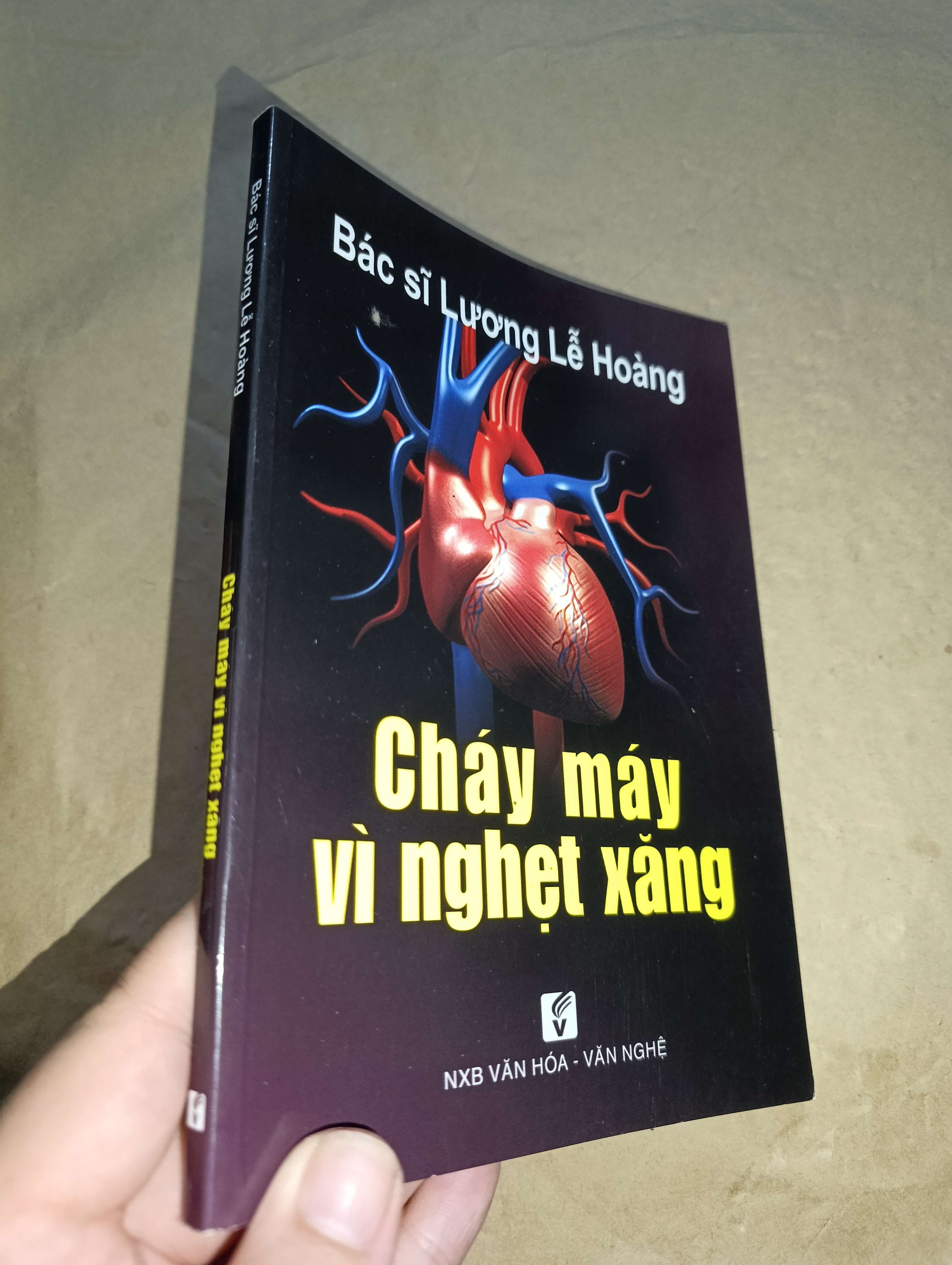 Cháy máy vì nghẹt xăng - Lương Lễ Hoàng 2013 mới 80% (Sách Y học - Sức khỏe - Thể thao) GZB
