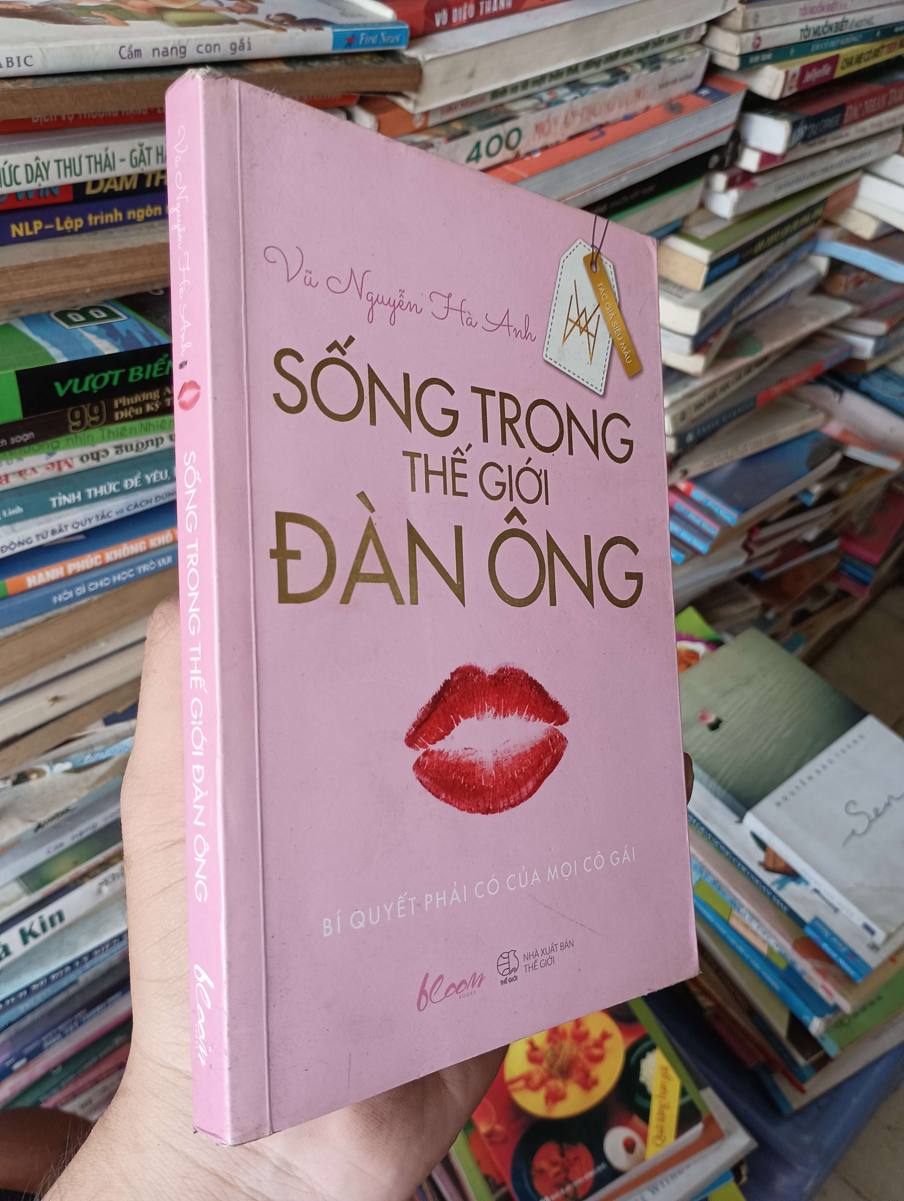 Sống Trong Thế Giới Đàn Ông - Vũ Nguyễn Hà Anh 2015 Mới 80% (Sách văn học) OKB-K1T4