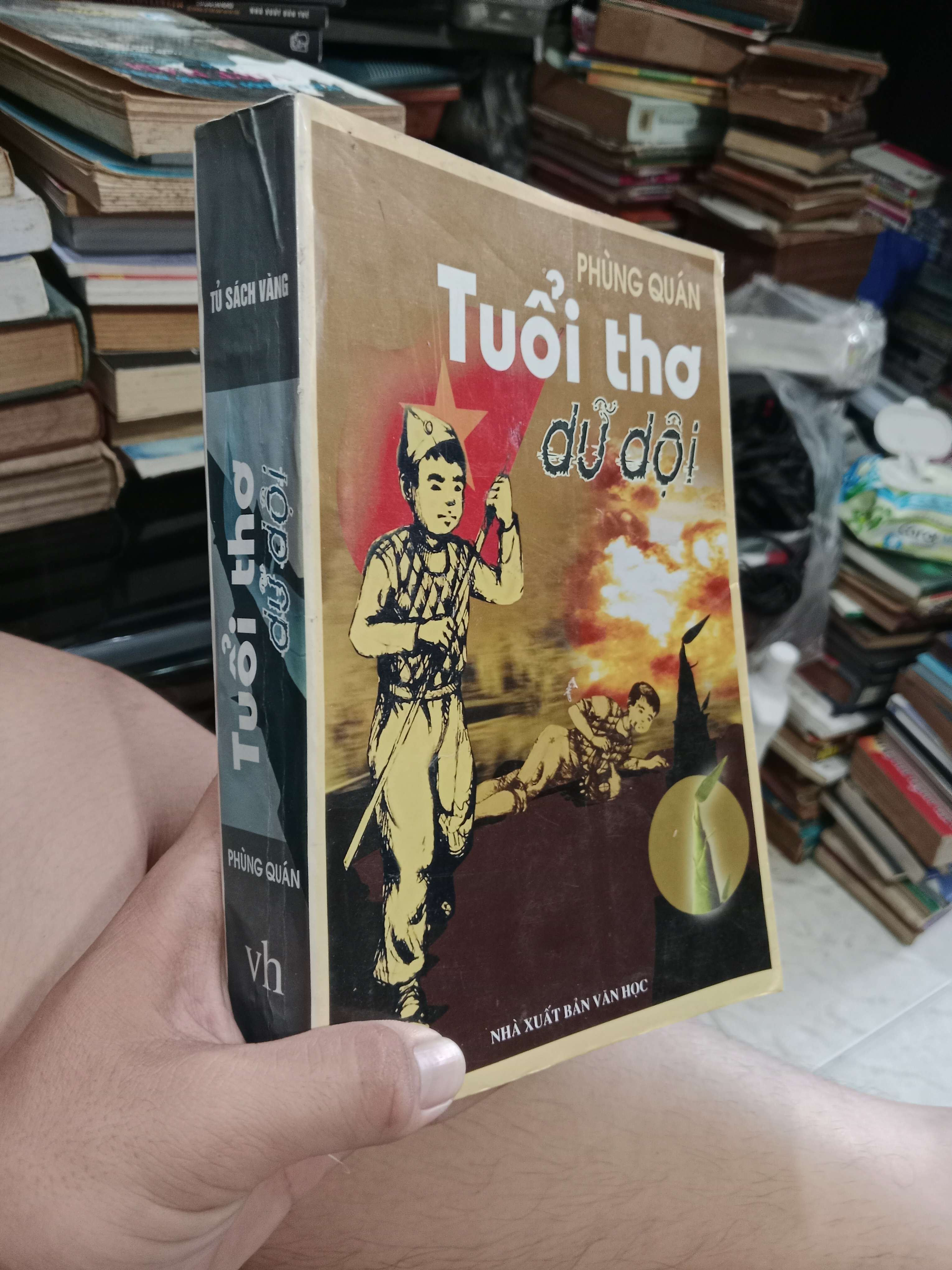 Tuổi thơ dữ dội - Phùng Quán 2011 mới 80% (Sách văn học) KSX