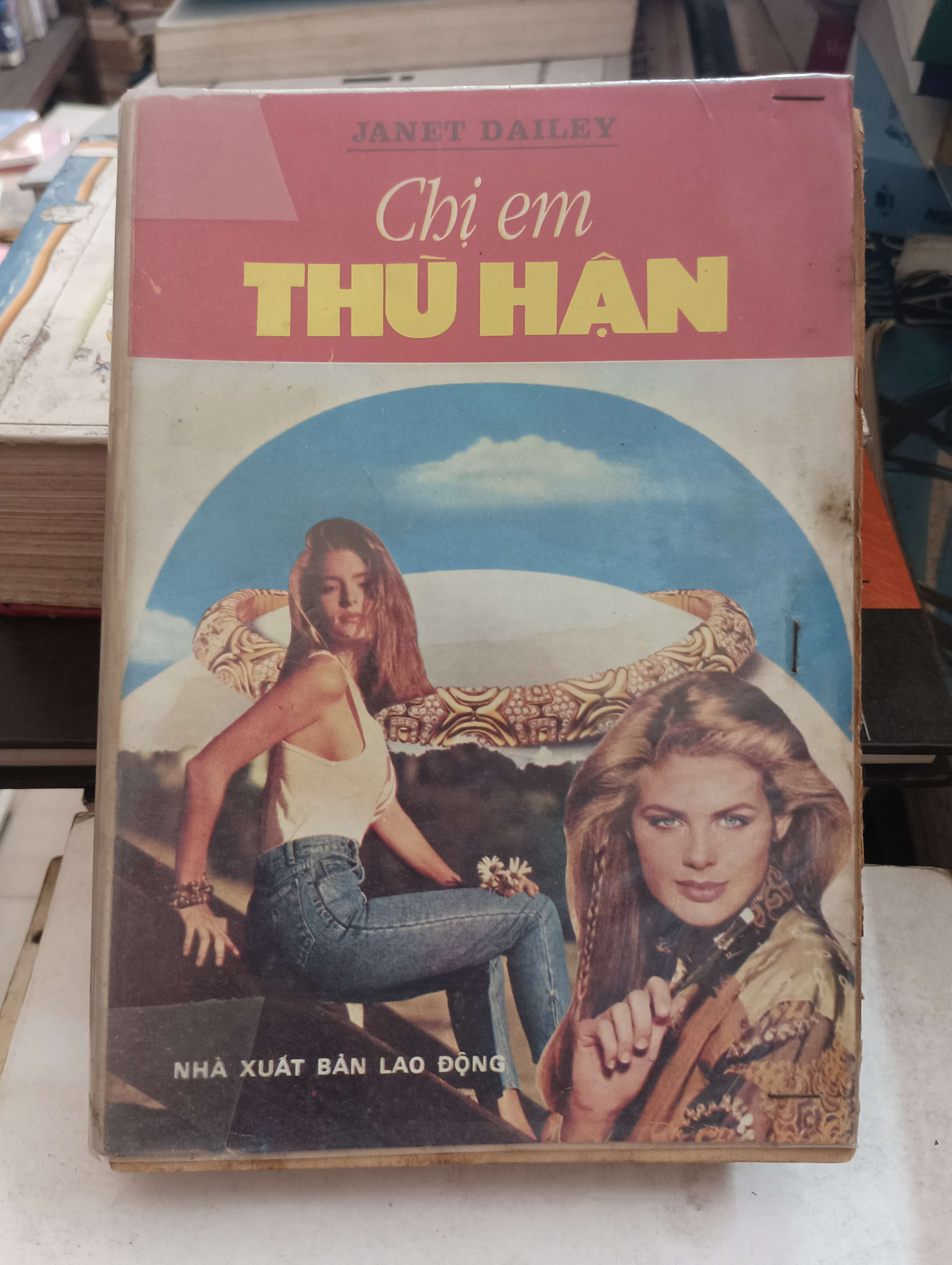 Chị Em Thù Hận - Janet Dailey Mới 80% (Tiểu Thuyết) OKB-K8T5