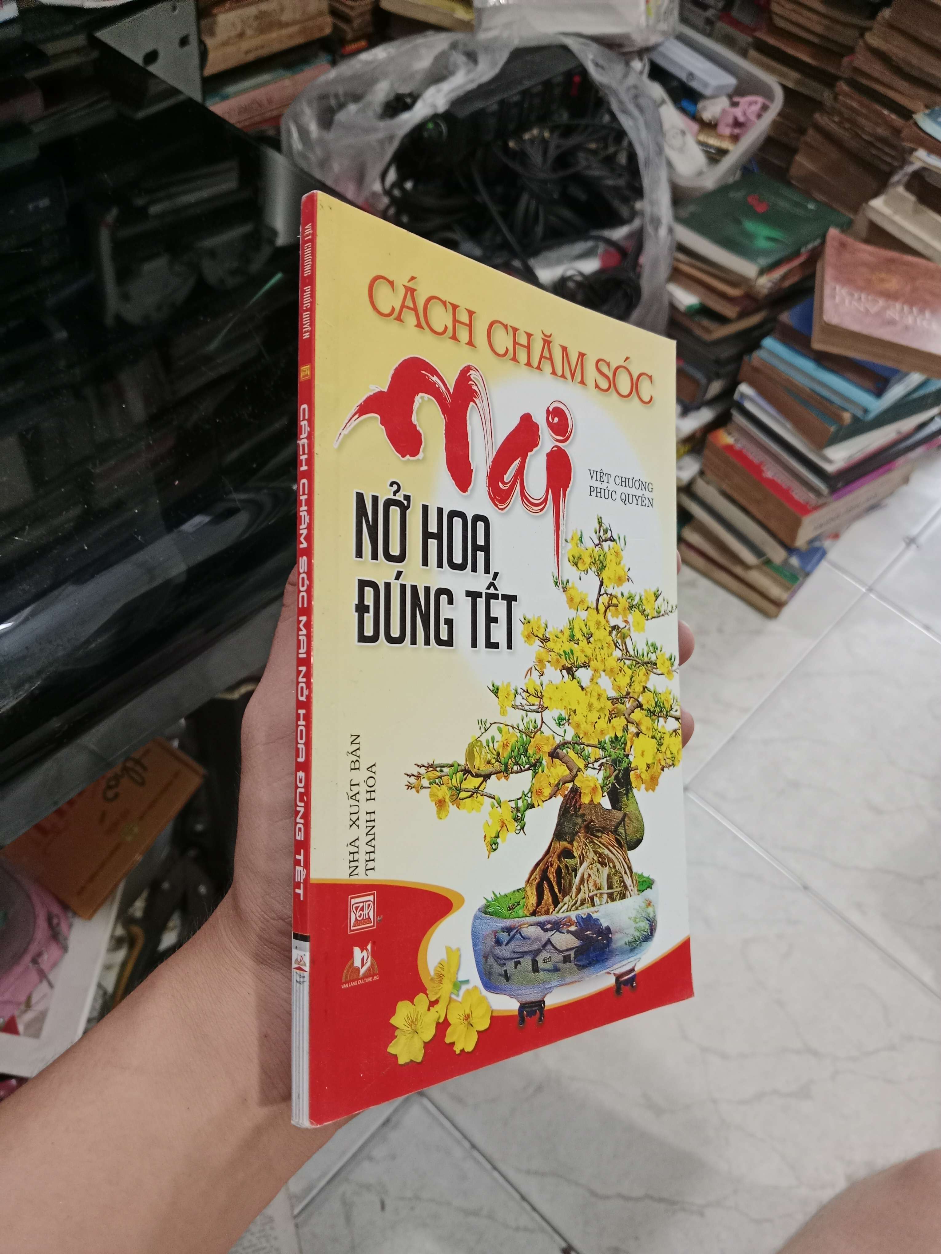 Cách chăm sóc mai nở hoa đúng Tết 2016 mới 80% (Sách kiến thức tổng hợp) KSX