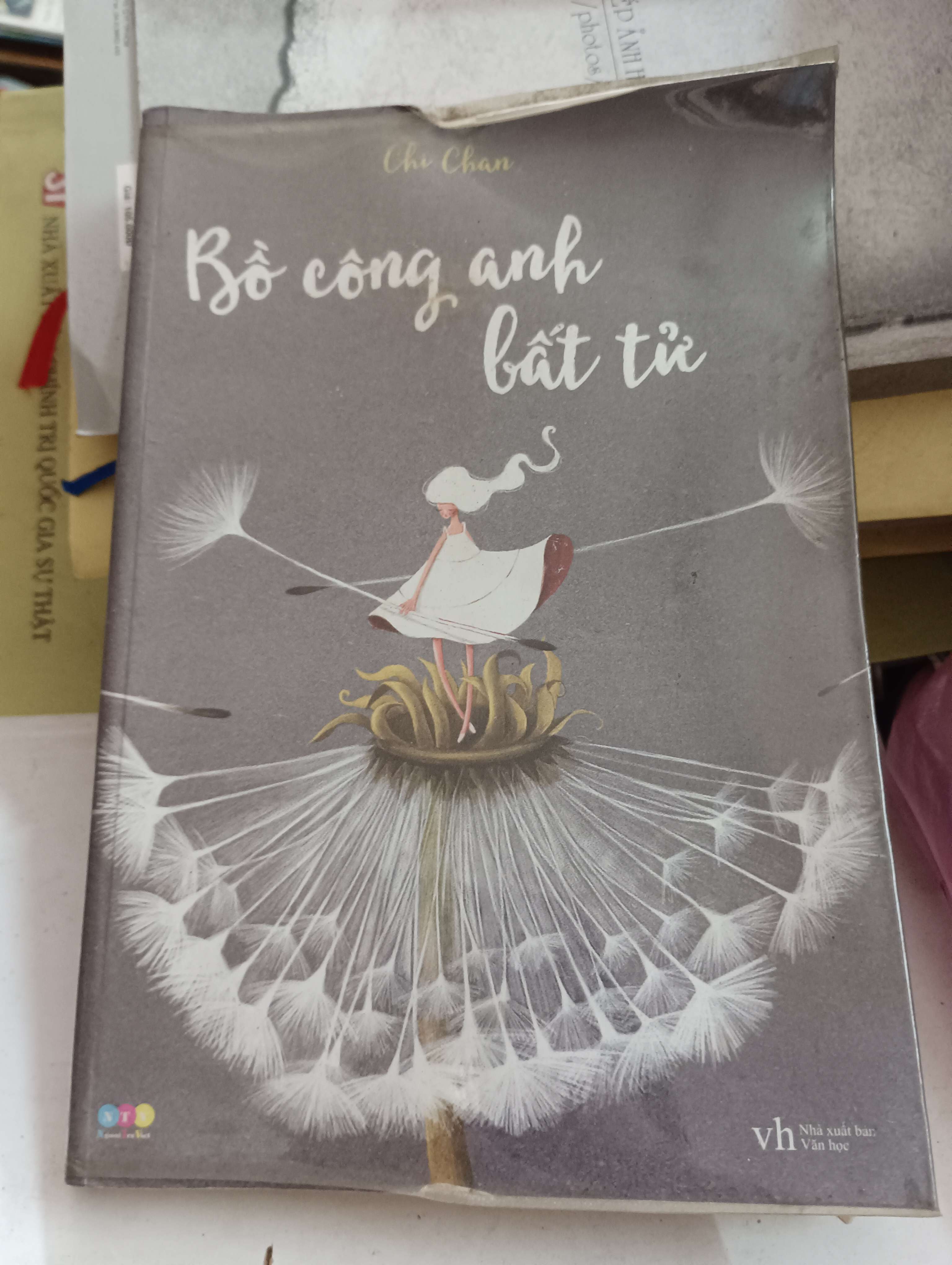 Bồ công anh bất tử - Chi Chan 2015 Mới 70%, bìa trước nhăn (Tiểu Thuyết) OKB-K8T3