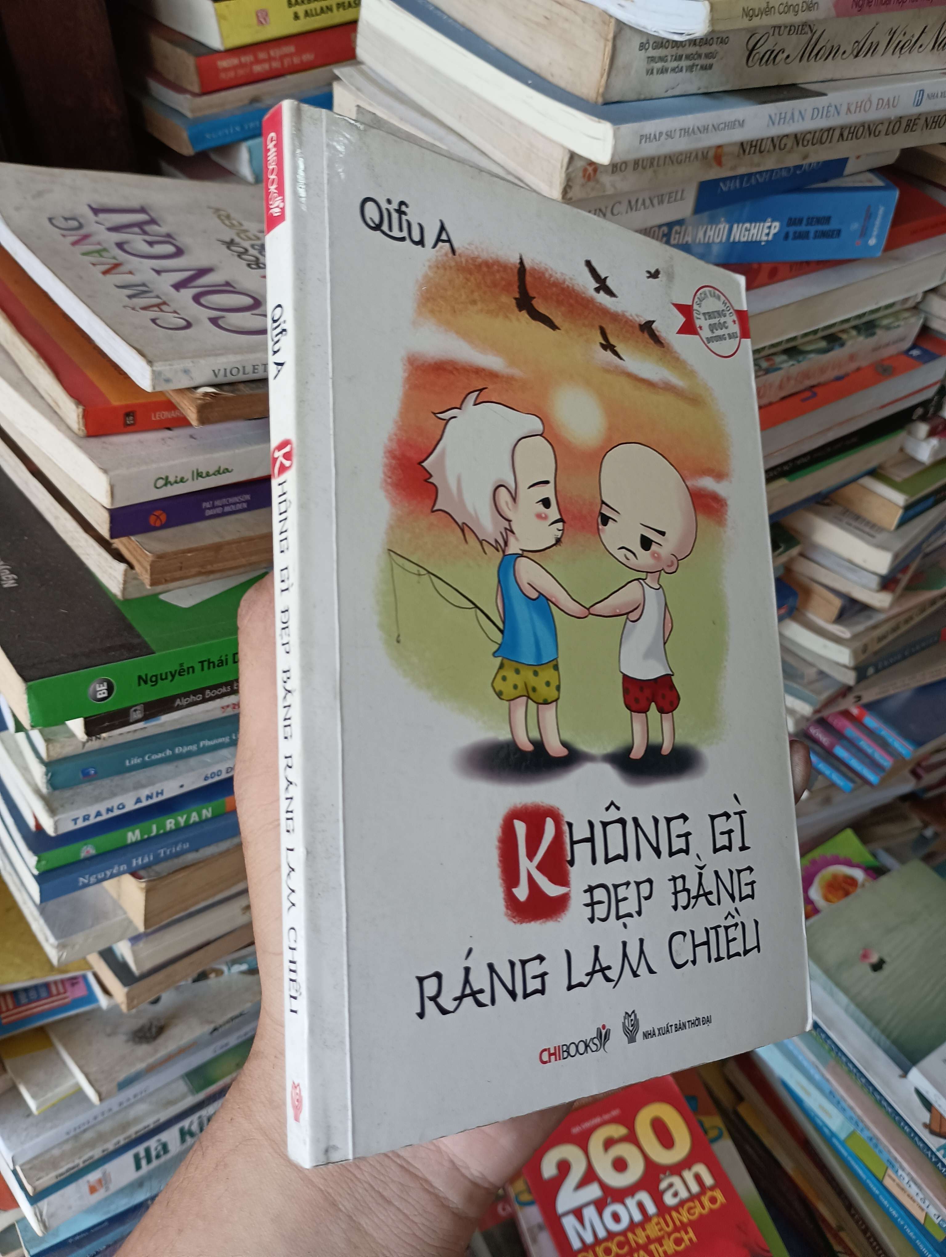 Không gì đẹp bằng ráng lam chiều - Qifu A 2013 Mới 80% (Sách văn học) OKB-K1T4