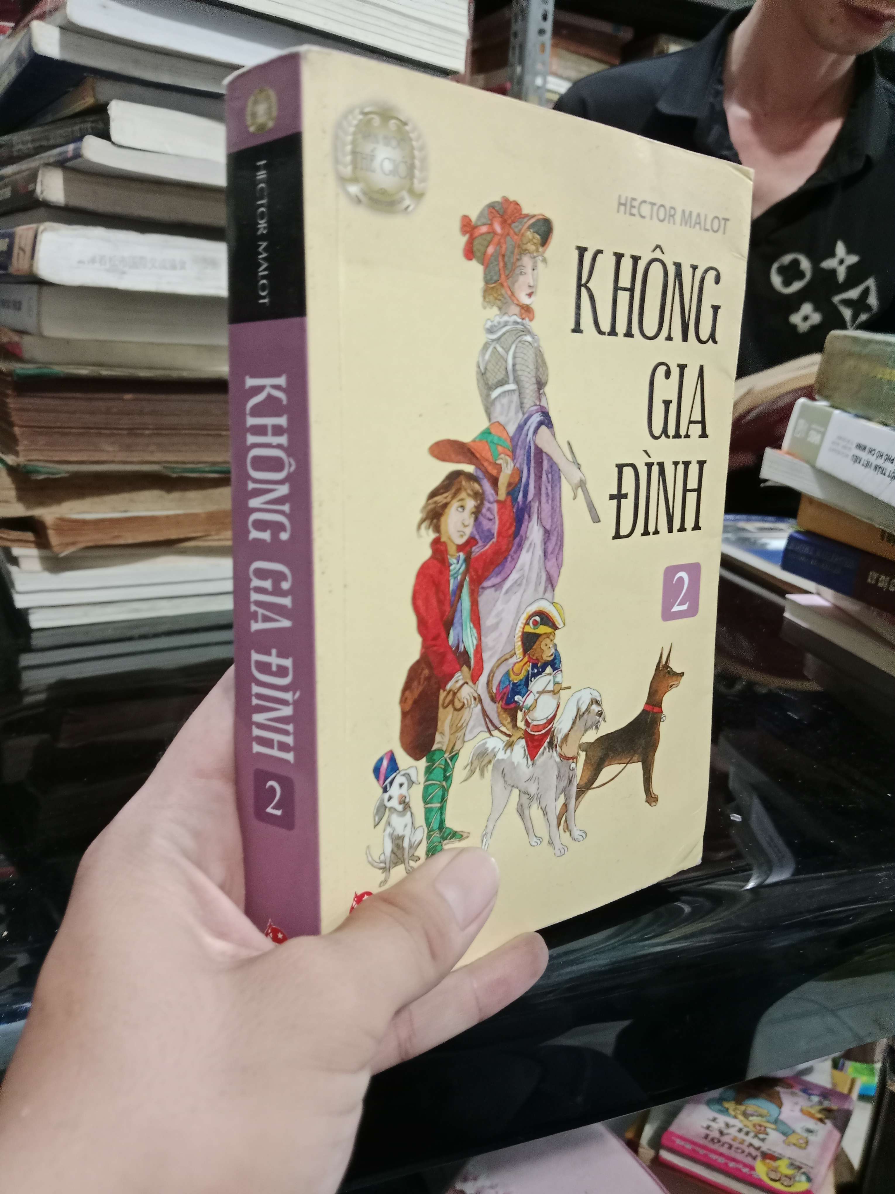 Không gia đình tập 2 - Hector Malot 2015 mới 70%, có chữ (Sách văn học) KSX