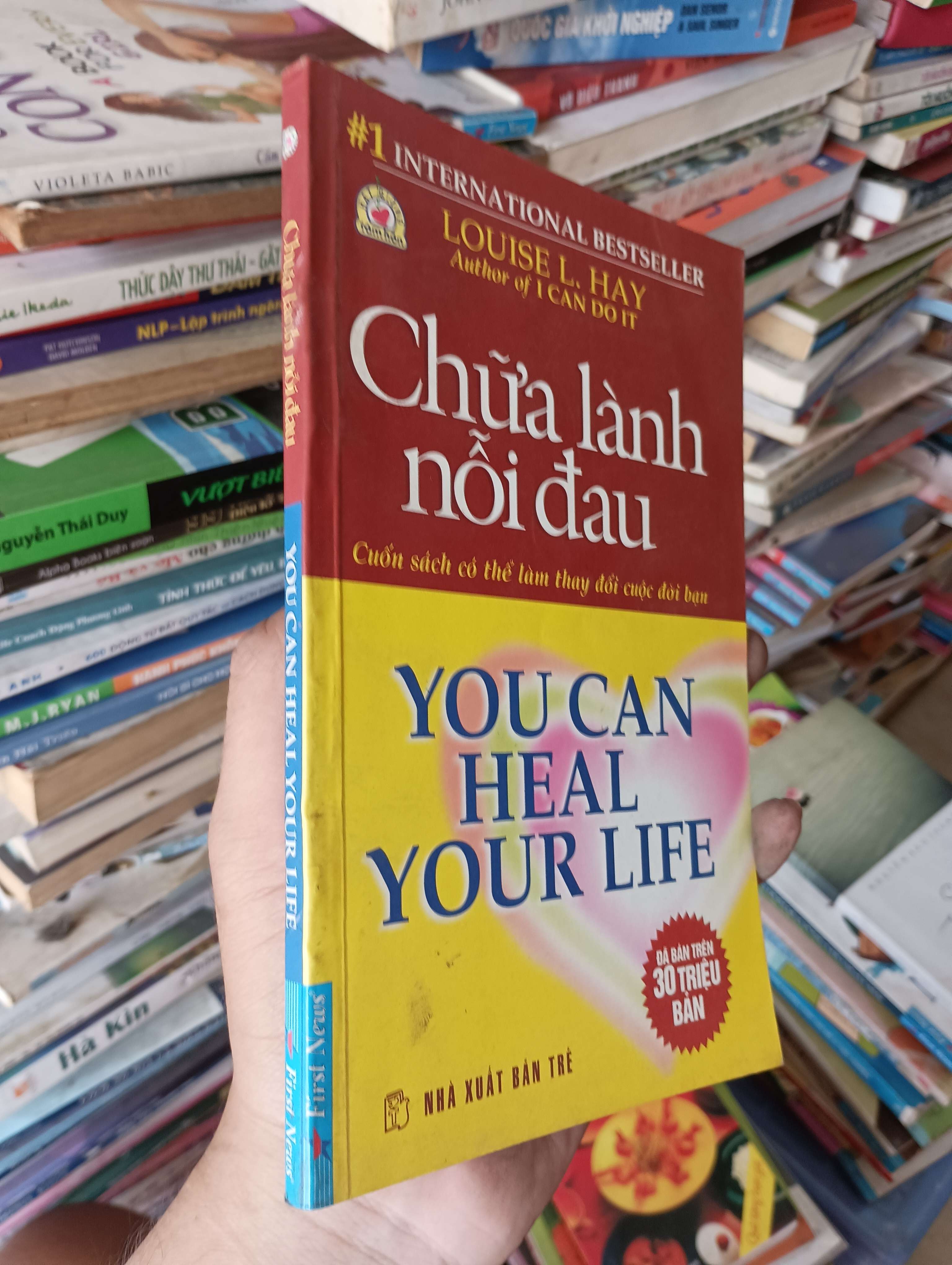 Chữa Lành Nỗi Đau (You Can Heal Your Life) - Louise L. Hay 2009 Mới 80% (Sách tâm lý học - giới tính) OKB-K1T4