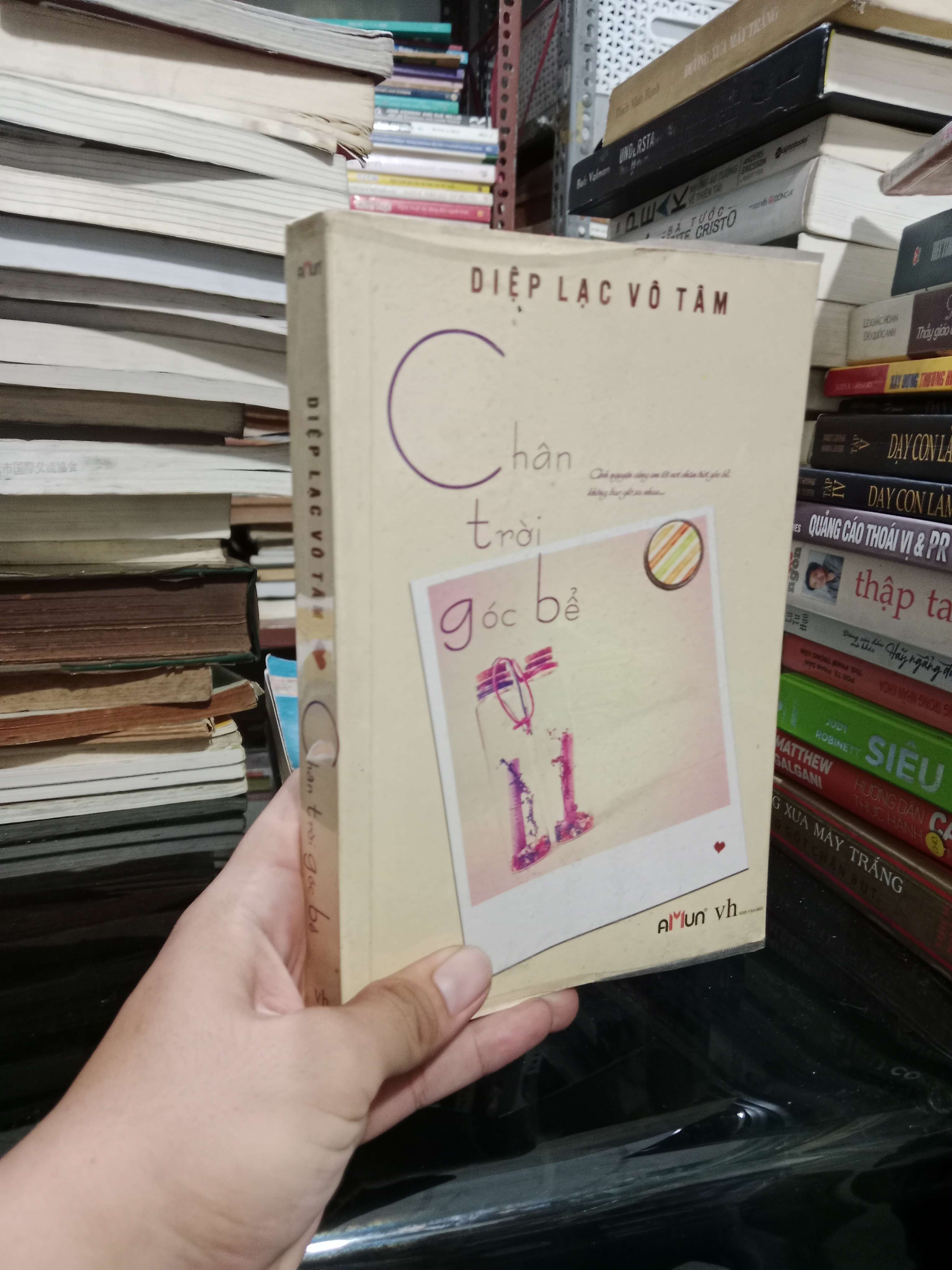 Chân trời góc bể - Diệp Lạc Vô Tâm 2012 mới 80% (Sách văn học) KSX