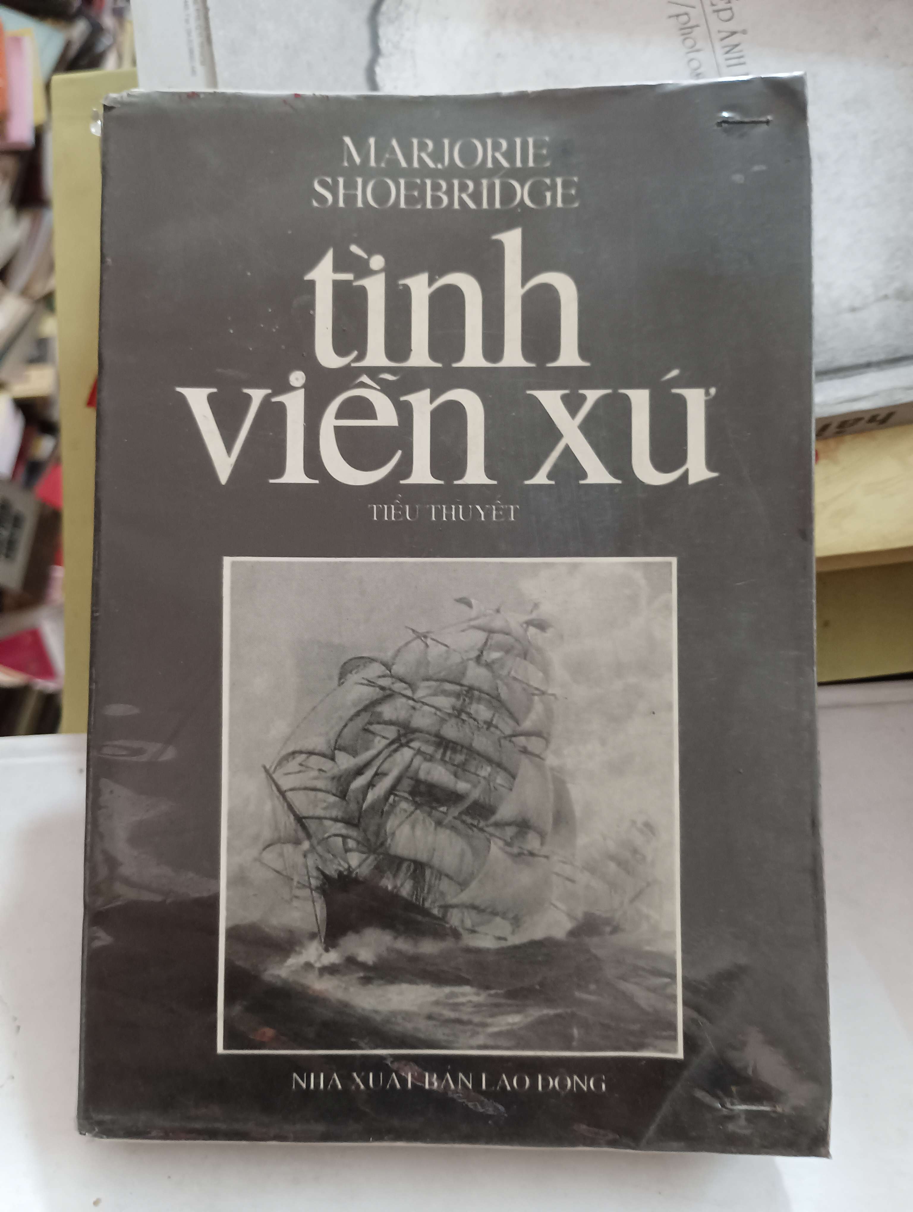 Tình Viễn Xứ - Marjorie Shoebridge Mới 80% (Tiểu Thuyết) OKB-K8T3