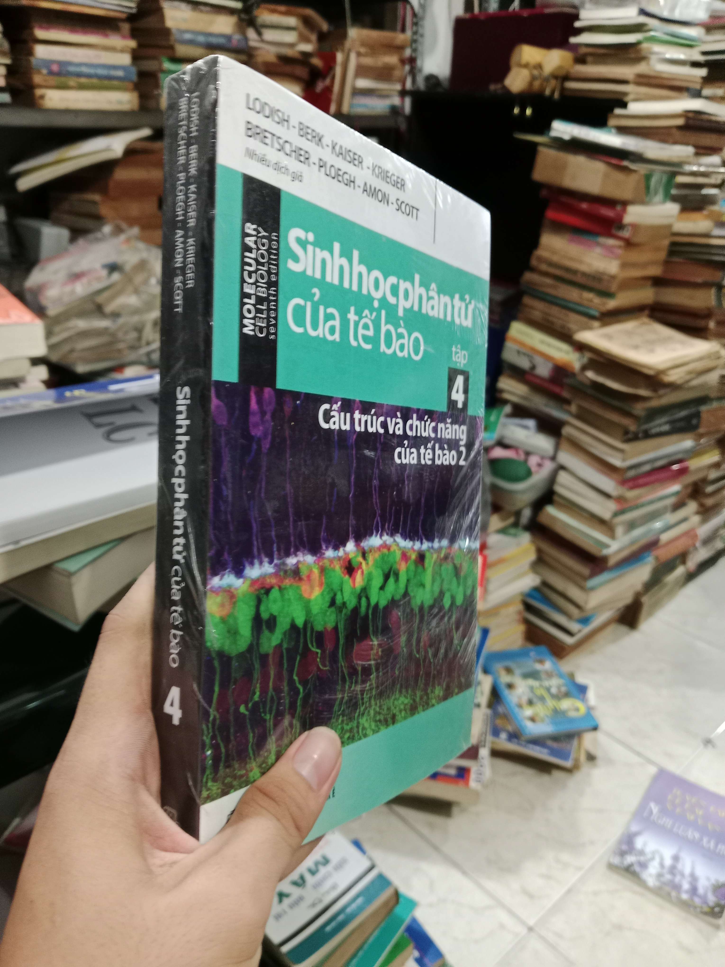 Sinh học phân tử của tế bào tập 4: Cấu trúc và chức năng của tế bào 2 mới 90% bẩn nhẹ, còn seal (Sách Y học - Sức khỏe - Thể thao) KSX