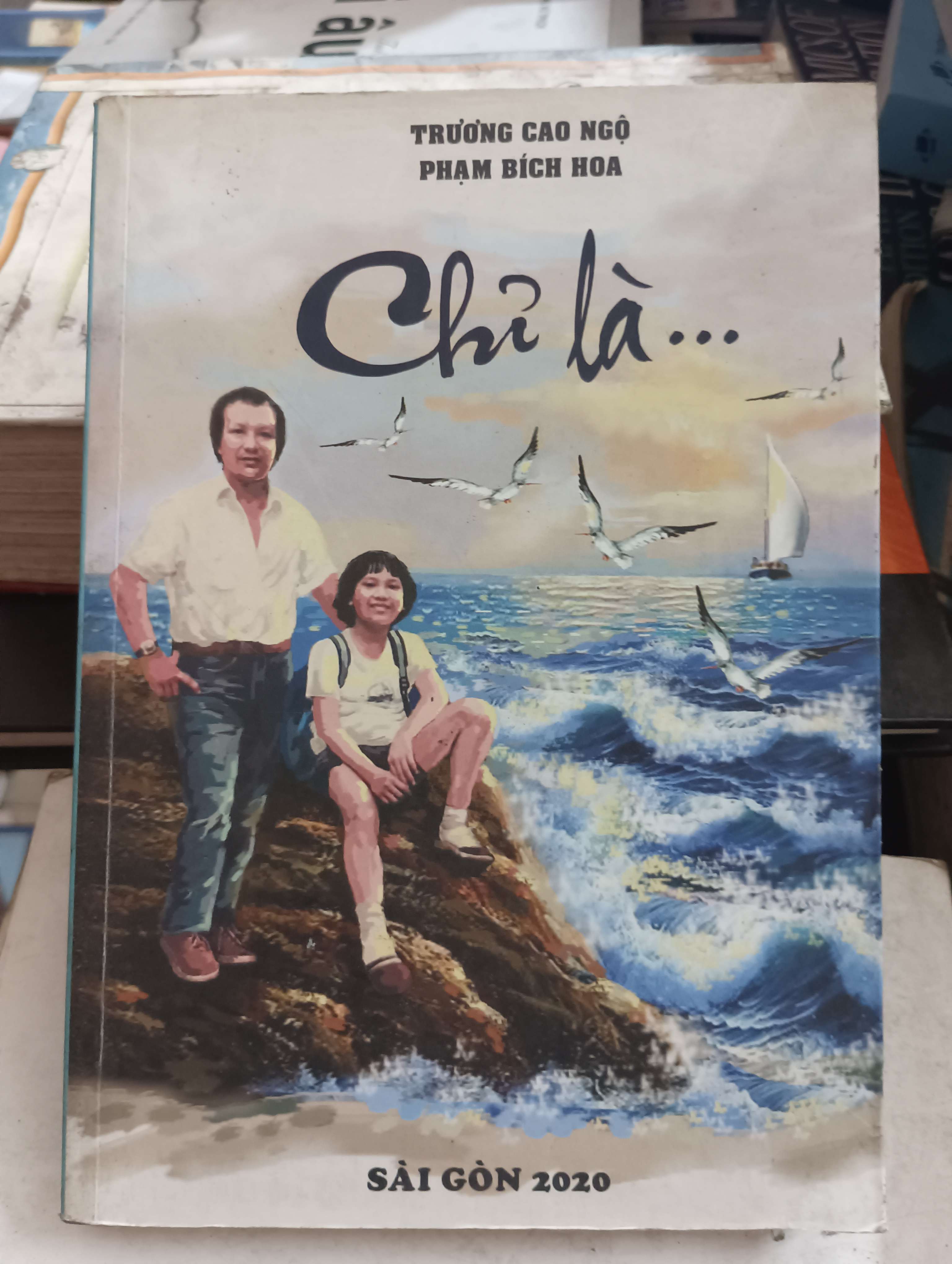 Chỉ Là... - Trương Cao Ngộ - Phạm Bích Hoa 2020 Mới 80% (Sách văn học) OKB-K8T4