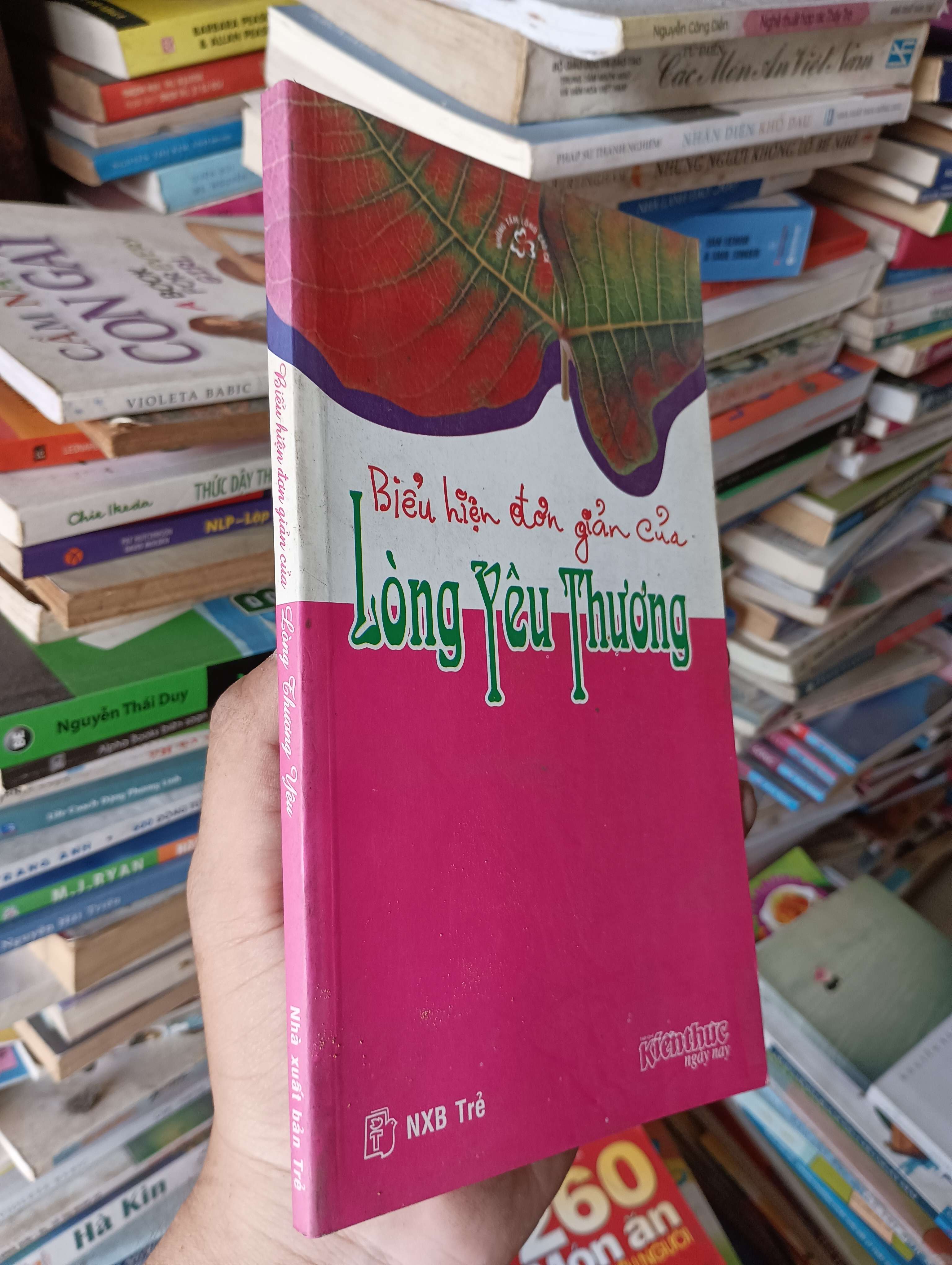 Biểu hiện đơn giản của lòng yêu thương 2006 Mới 80% (Chữa lành) OKB-K1T4