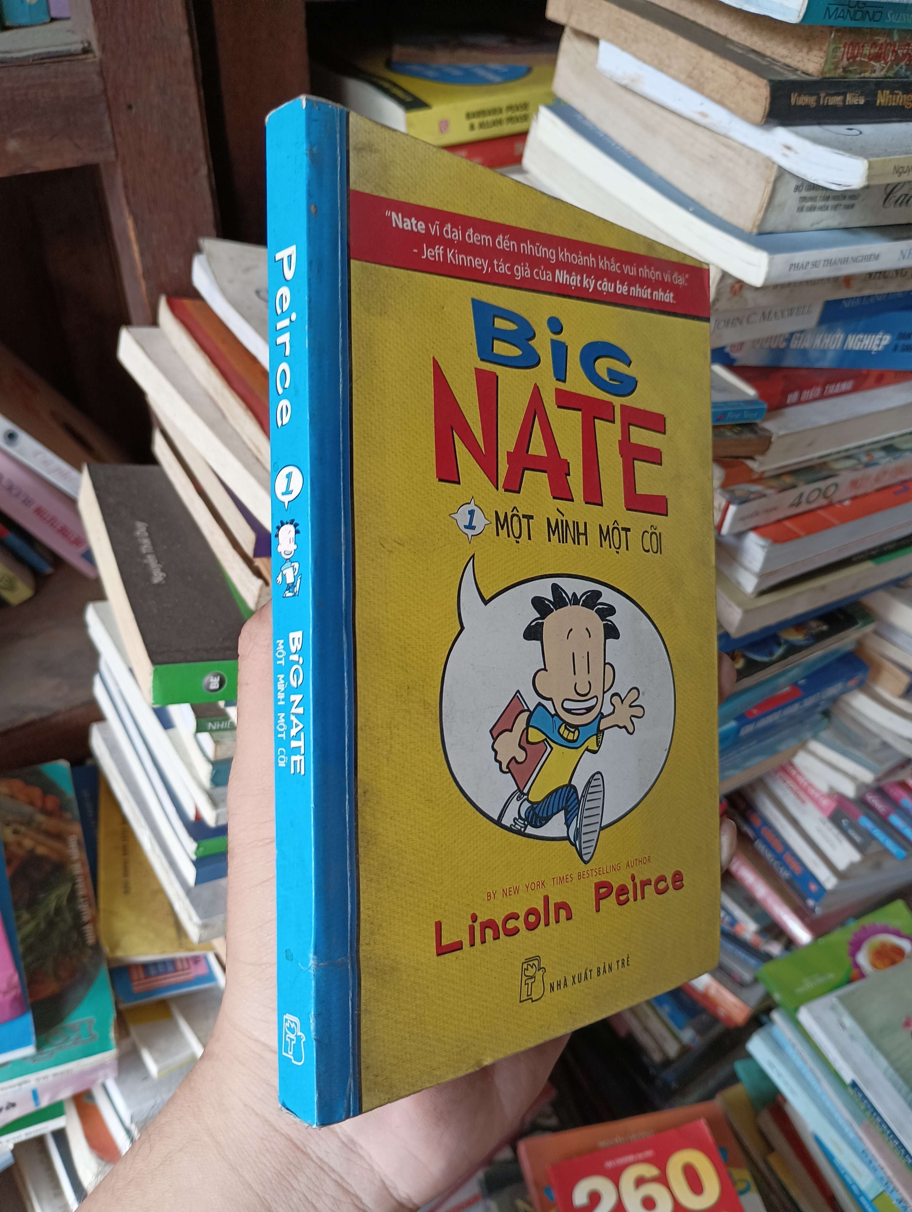 Big Nate - Tập 1: Một Mình Một Cõi (Lincoln Peirce) 2013 Mới 80% (Sách thiếu nhi) OKB-K1T4