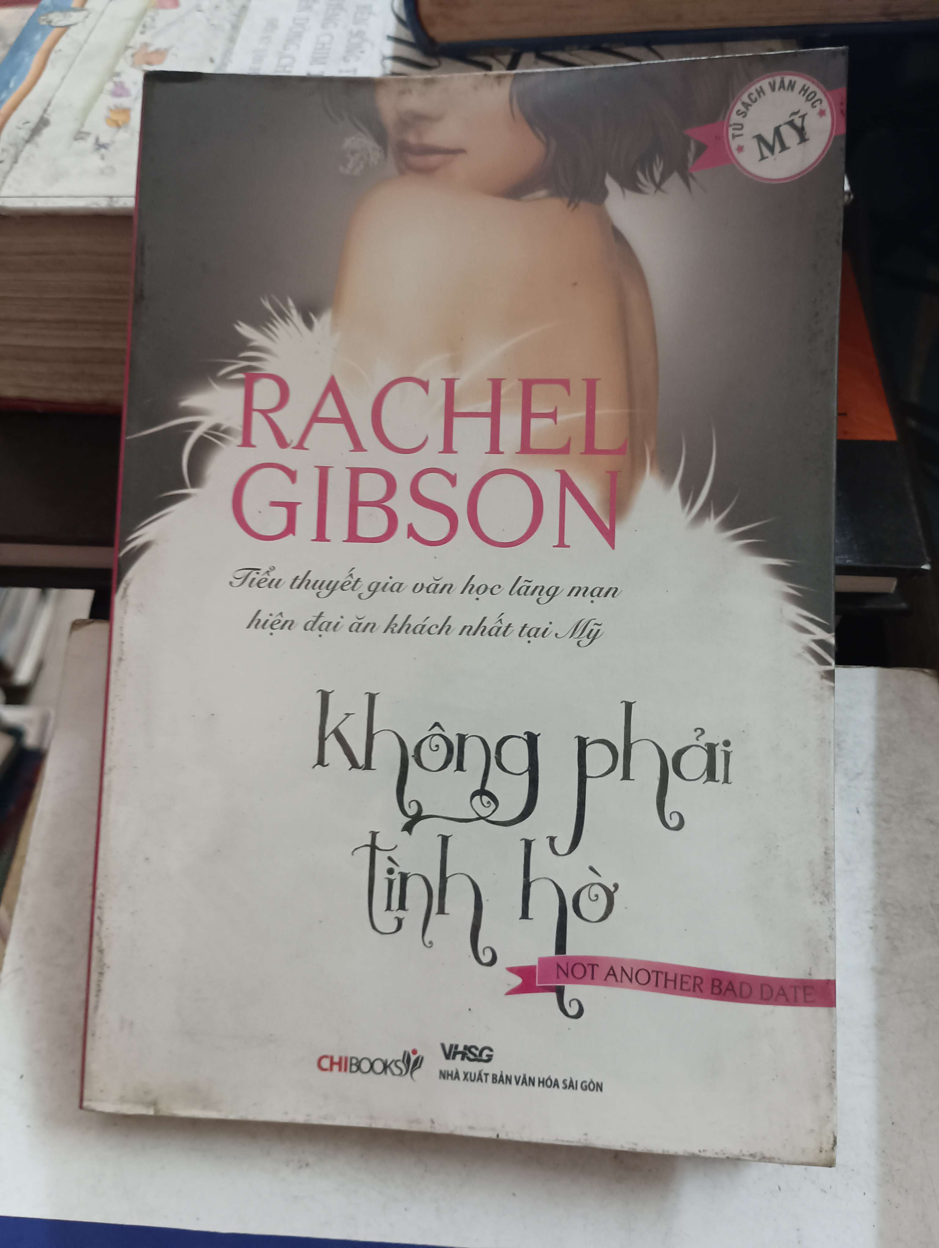 Không phải tình hờ (Not Another Bad Date) - Rachel Gibson 2009 Mới 80% (Tiểu Thuyết) OKB-K8T5