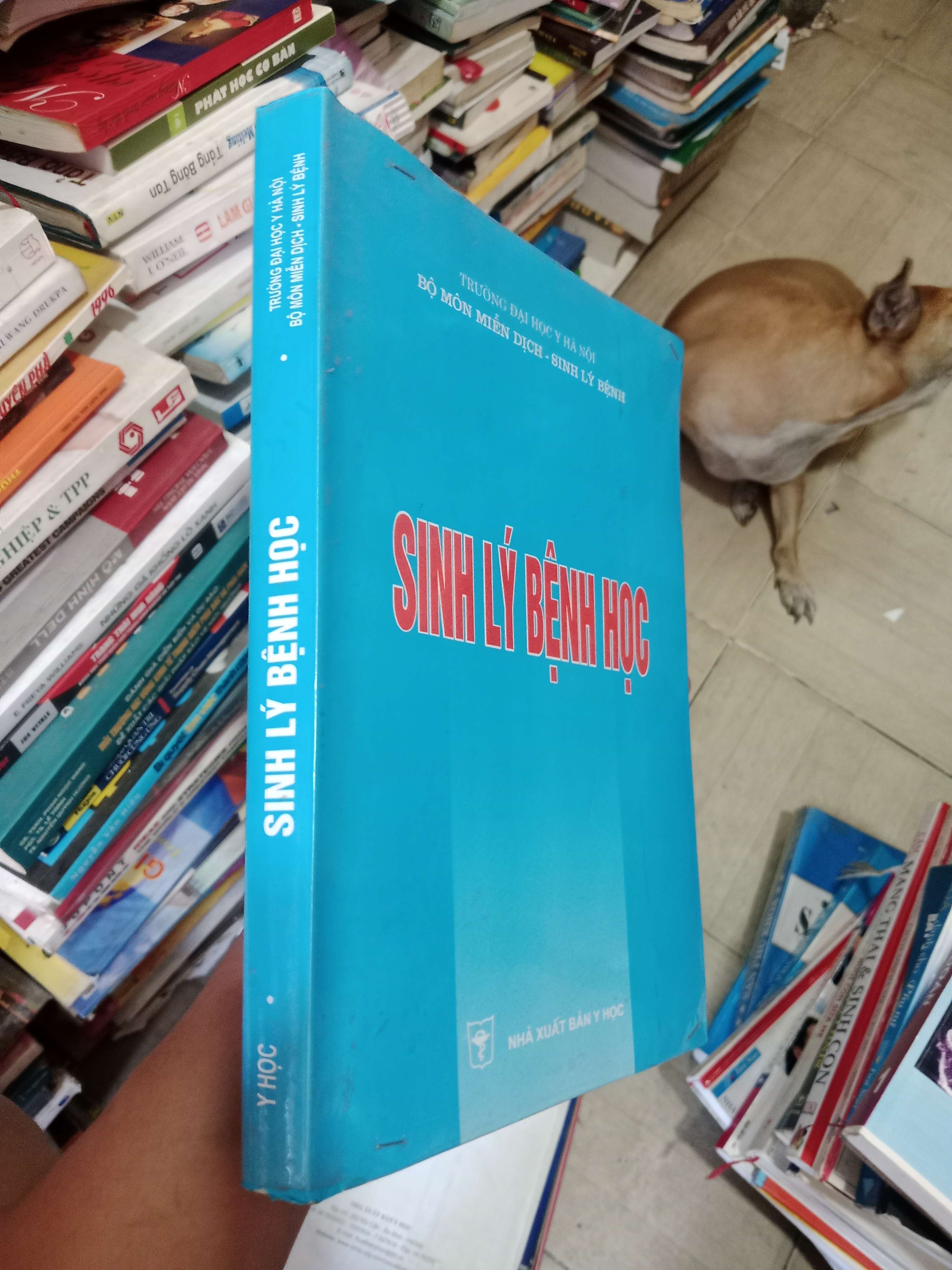 Sinh Lý Bệnh Học 2008 Mới 80% (Sách giáo khoa - giáo trình) OKB-K4T1