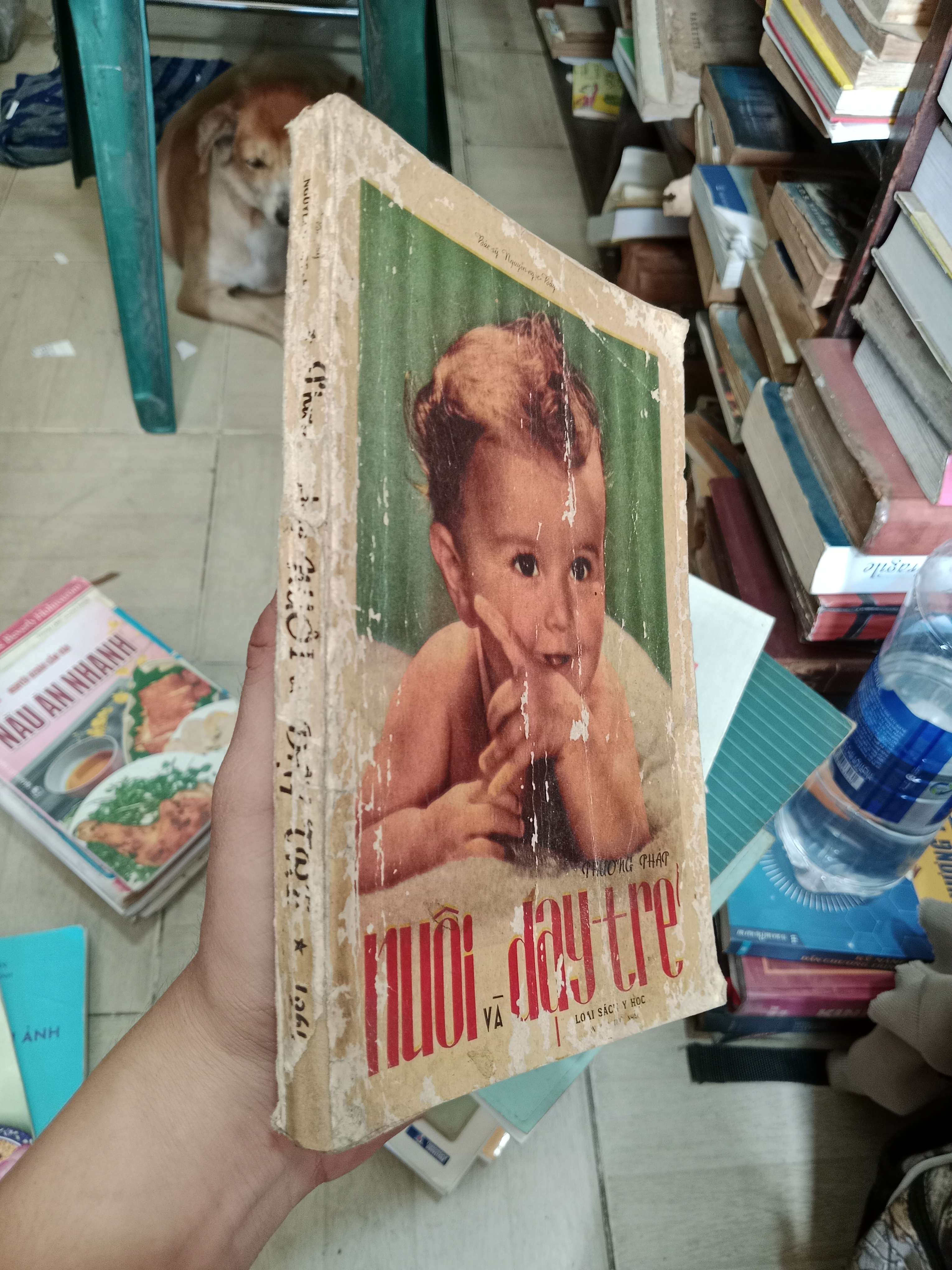 Nuôi và dạy trẻ 1963 Mới 70% (Sách làm cha mẹ) OKB-K4T2