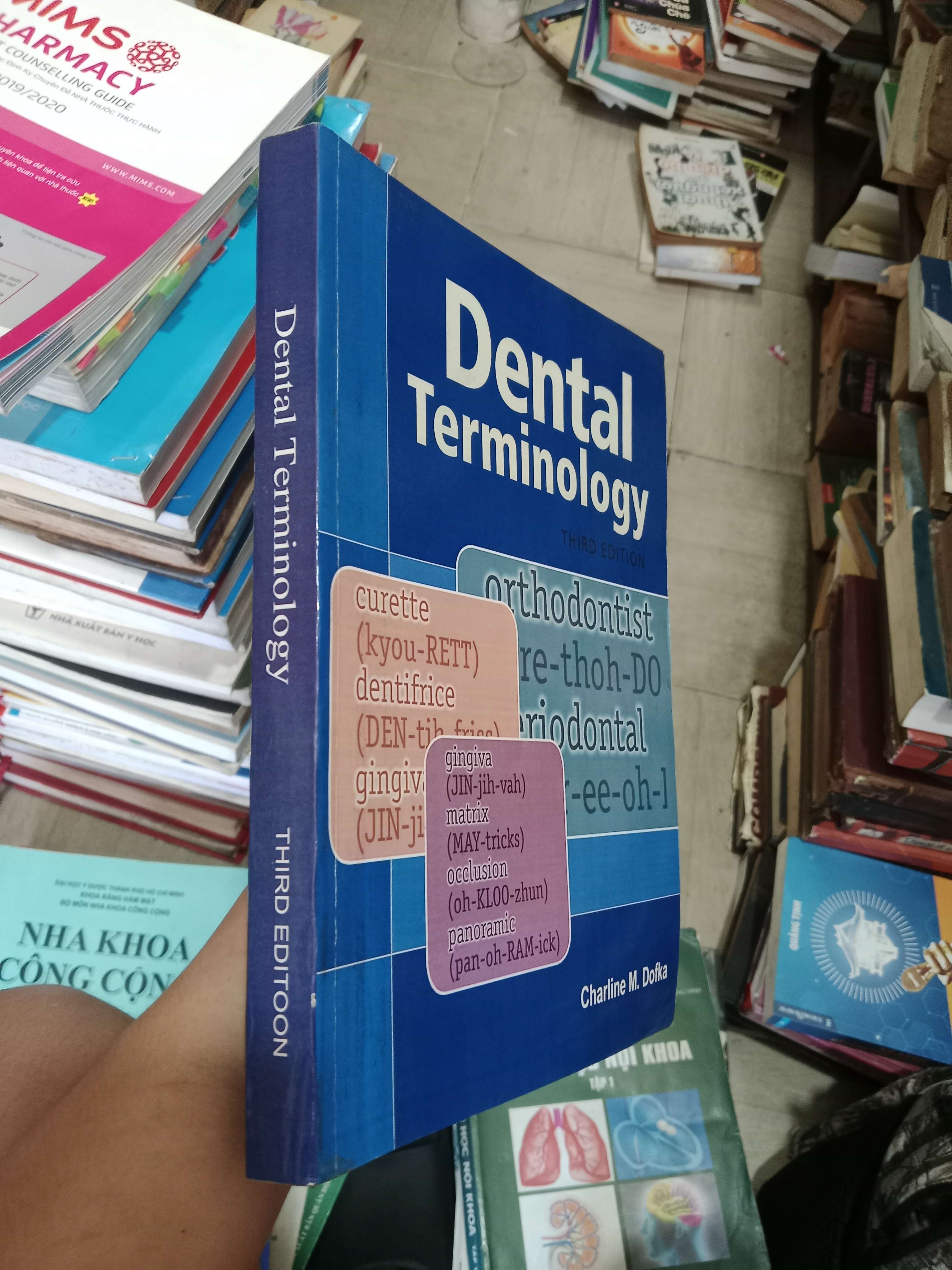 Dental Terminology (Third Edition) - Charline M. Dofka Mới 80% (Sách giáo khoa - giáo trình) OKB-K4T1