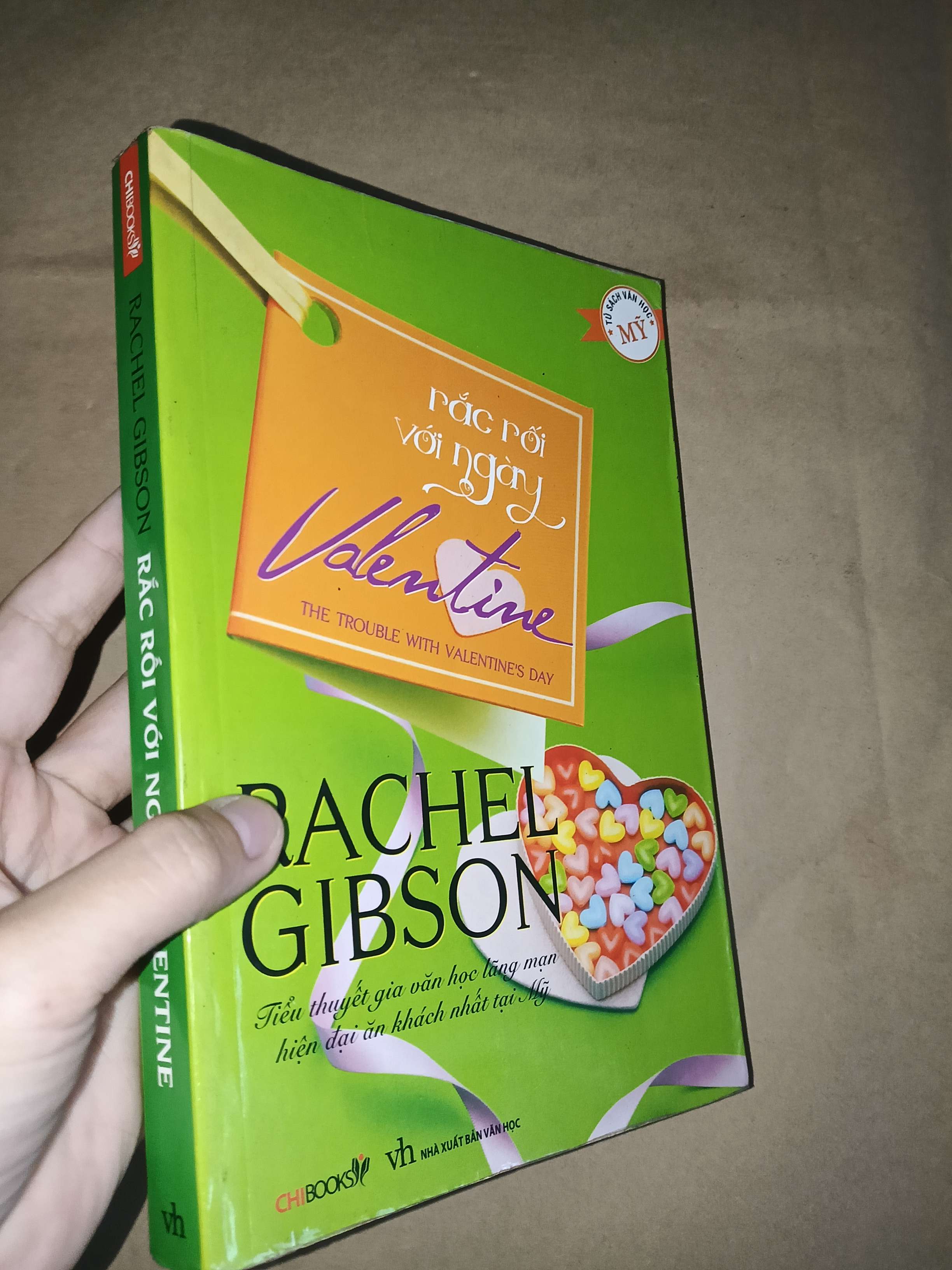 Rắc rối với ngày Valentine - Rachel Gibson 2010 mới 80% (Sách văn học) GZB