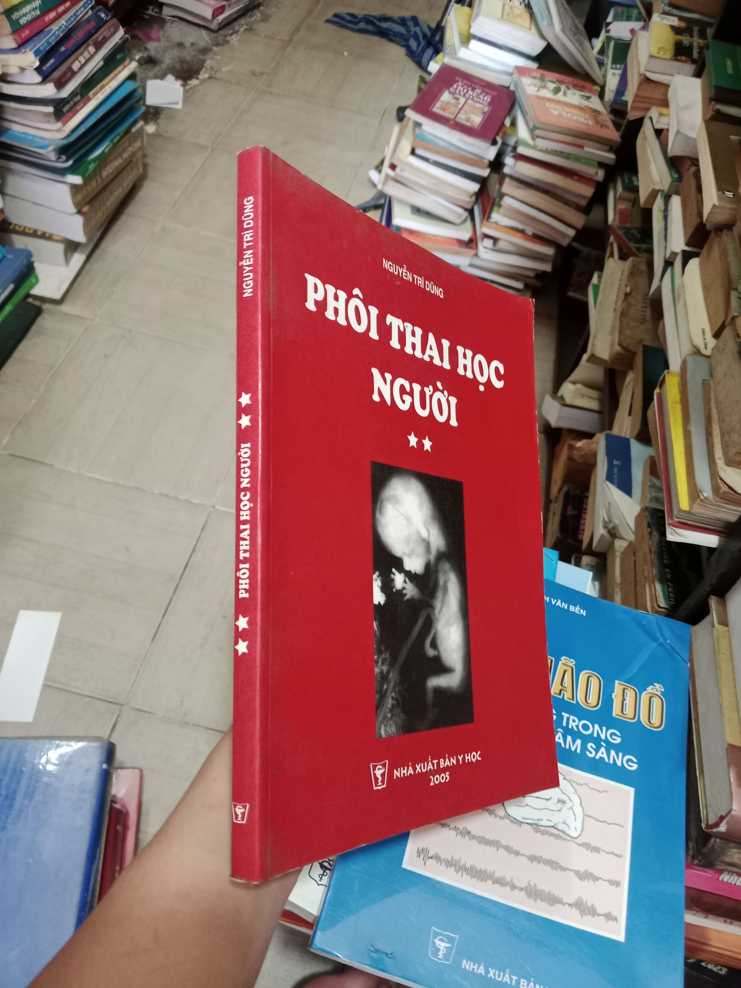 Phôi Thai Học Người (Tập 2) - Nguyễn Trí Dũng 2005 Mới 80% (Sách giáo khoa - giáo trình) OKB-K4T1