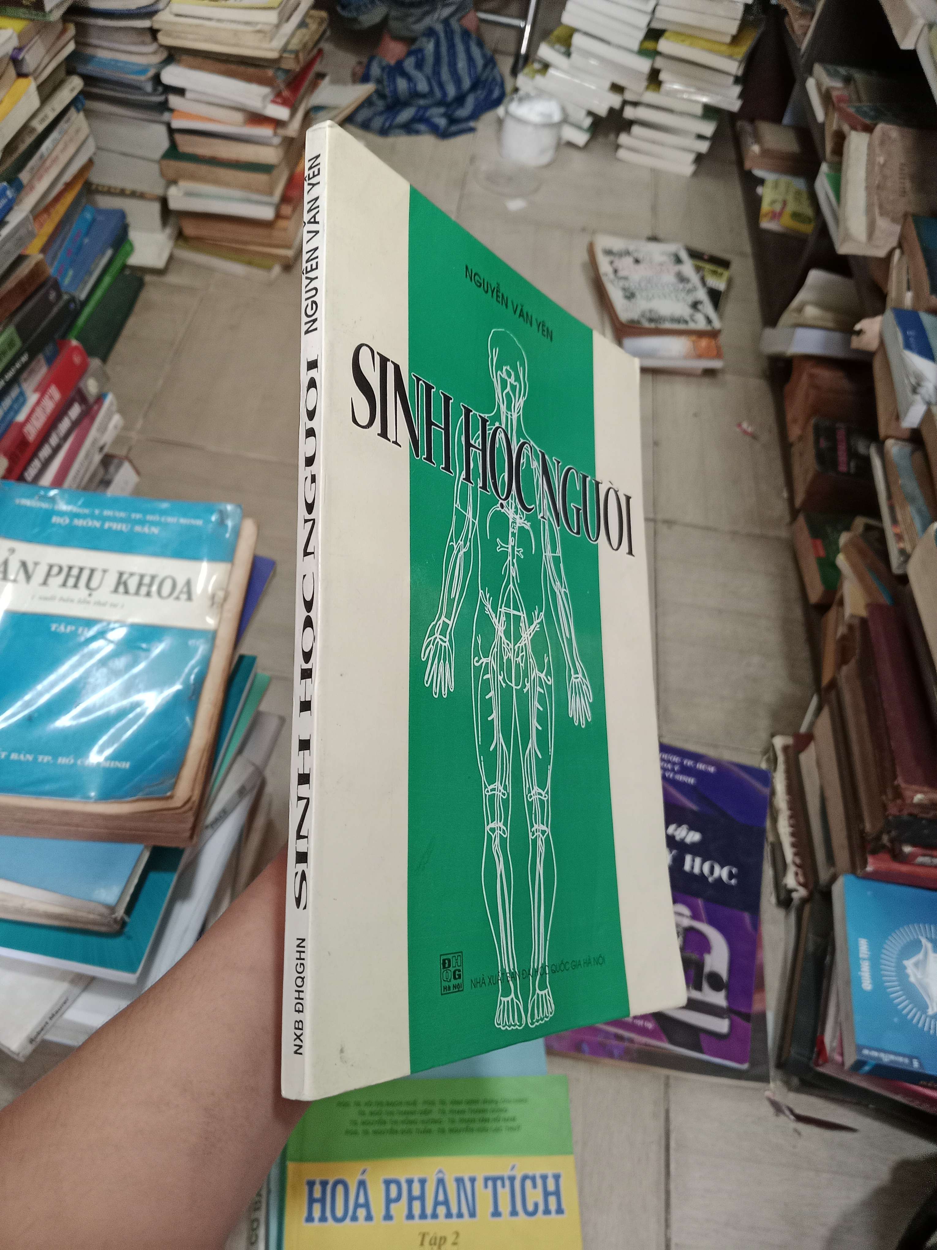 Sinh Học Người - Nguyễn Văn Yên 2003 Mới 80% (Sách giáo khoa - giáo trình) OKB-K4T2