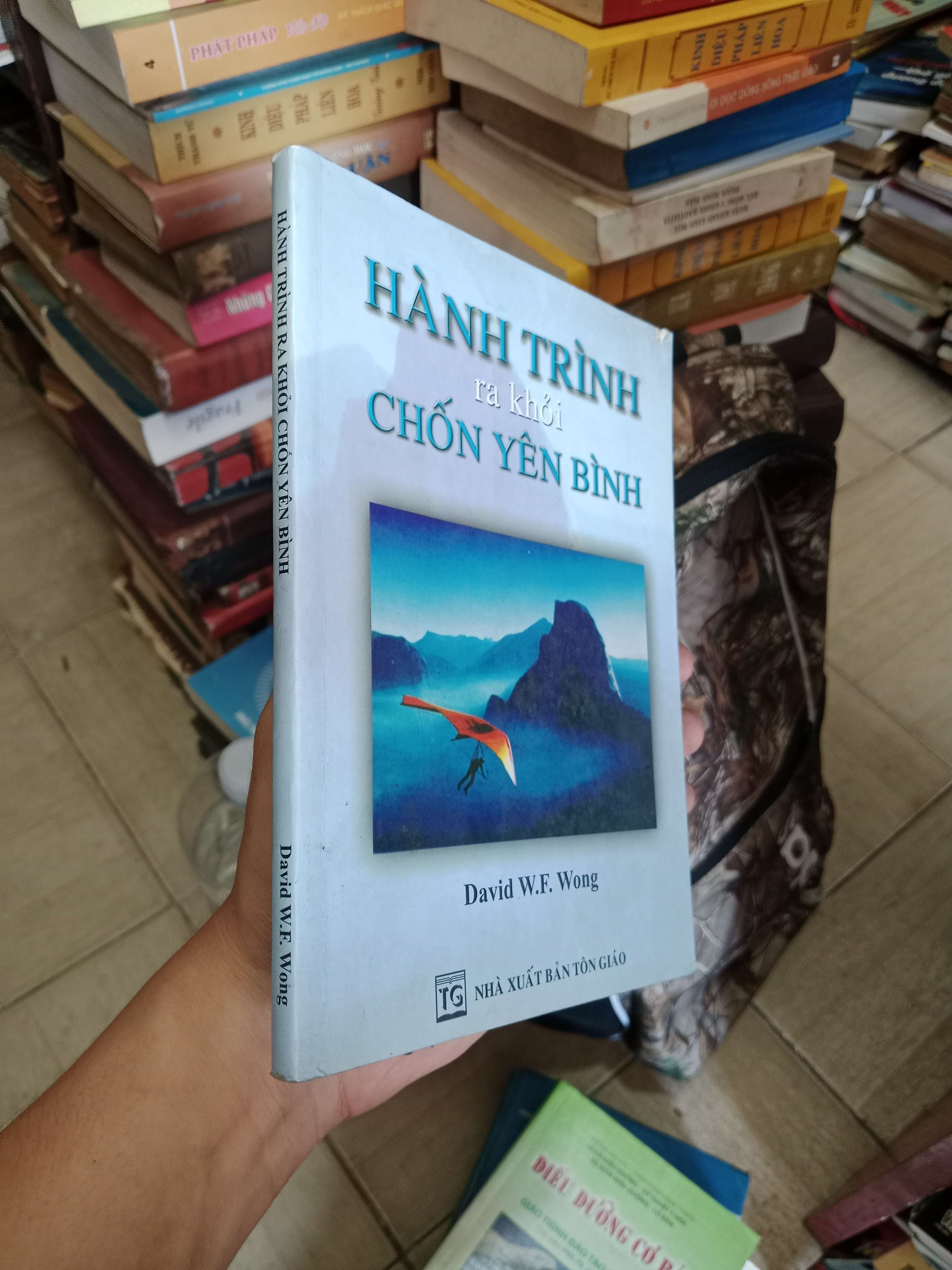 Hành trình ra khỏi chốn yên bình - David W.F. Wong 2011 Mới 80% (Sách tâm lý học - giới tính) OKB-K4T2
