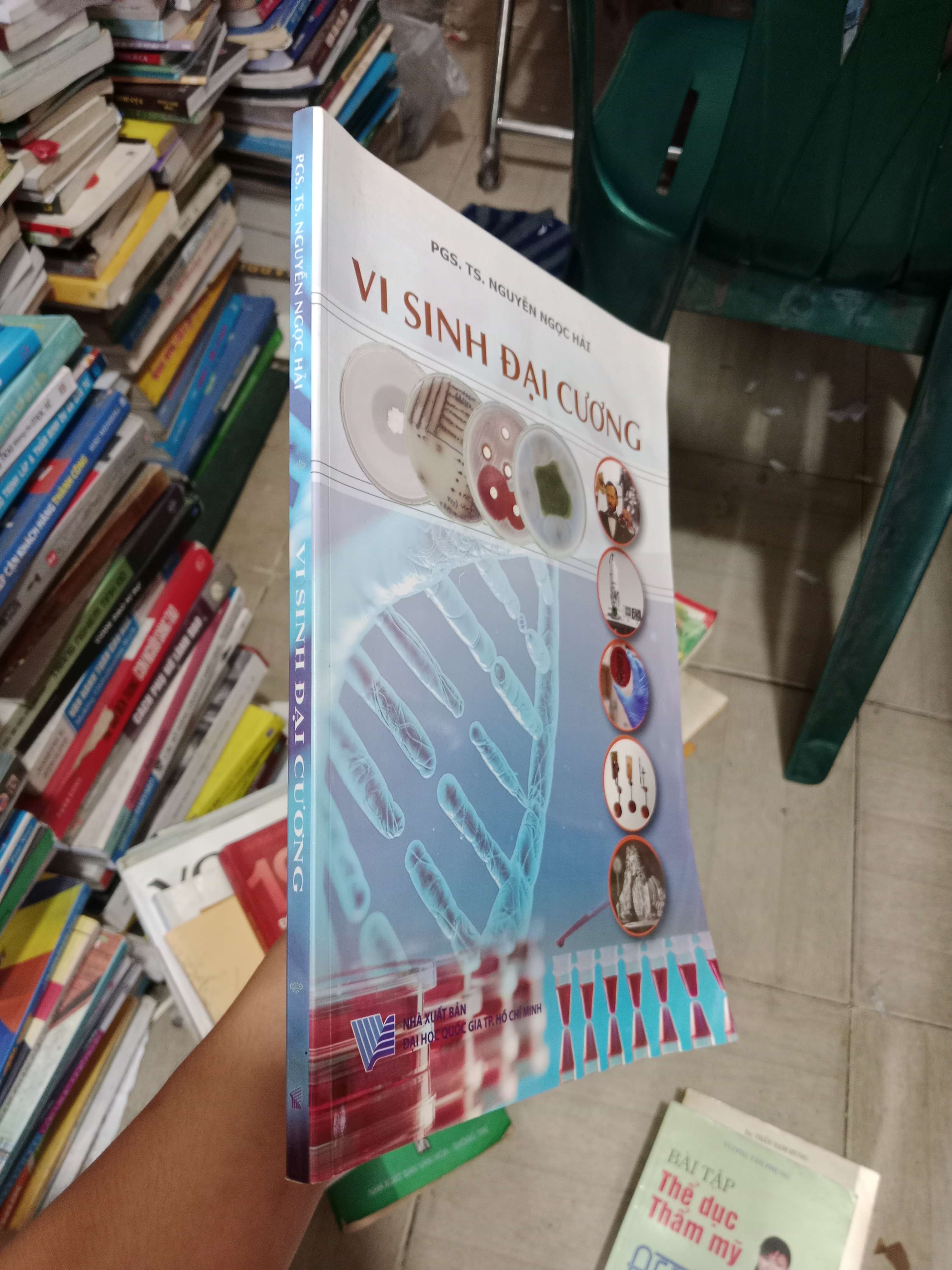 Vi sinh đại cương - PGS. TS. Nguyễn Ngọc Hải 2016 Mới 80% (Sách giáo khoa - giáo trình) OKB-K4T2