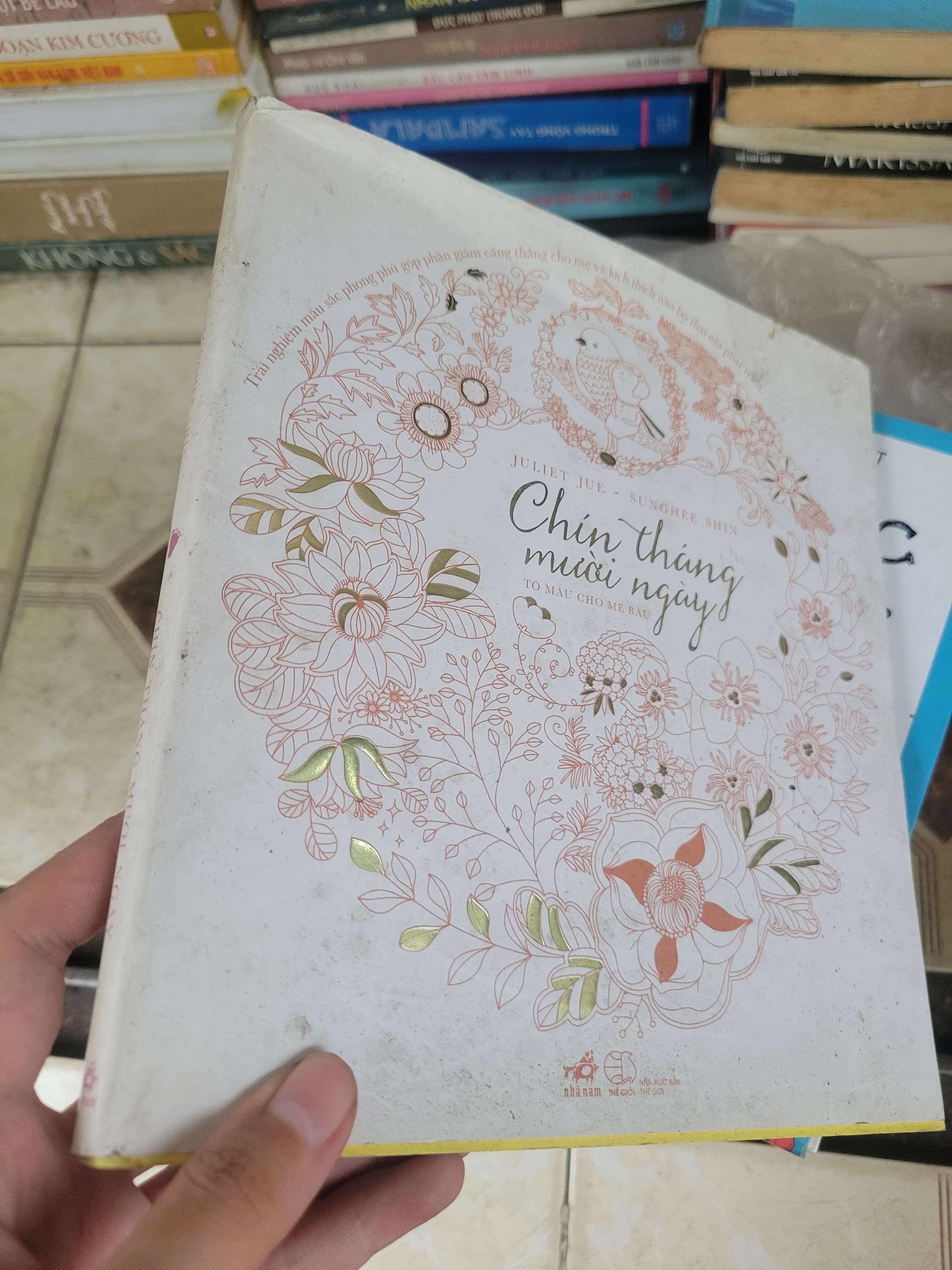 Chín tháng mười ngày - Sunghee Shin 2015 mới 70% có chữ, tô màu (Sách văn học) BGB