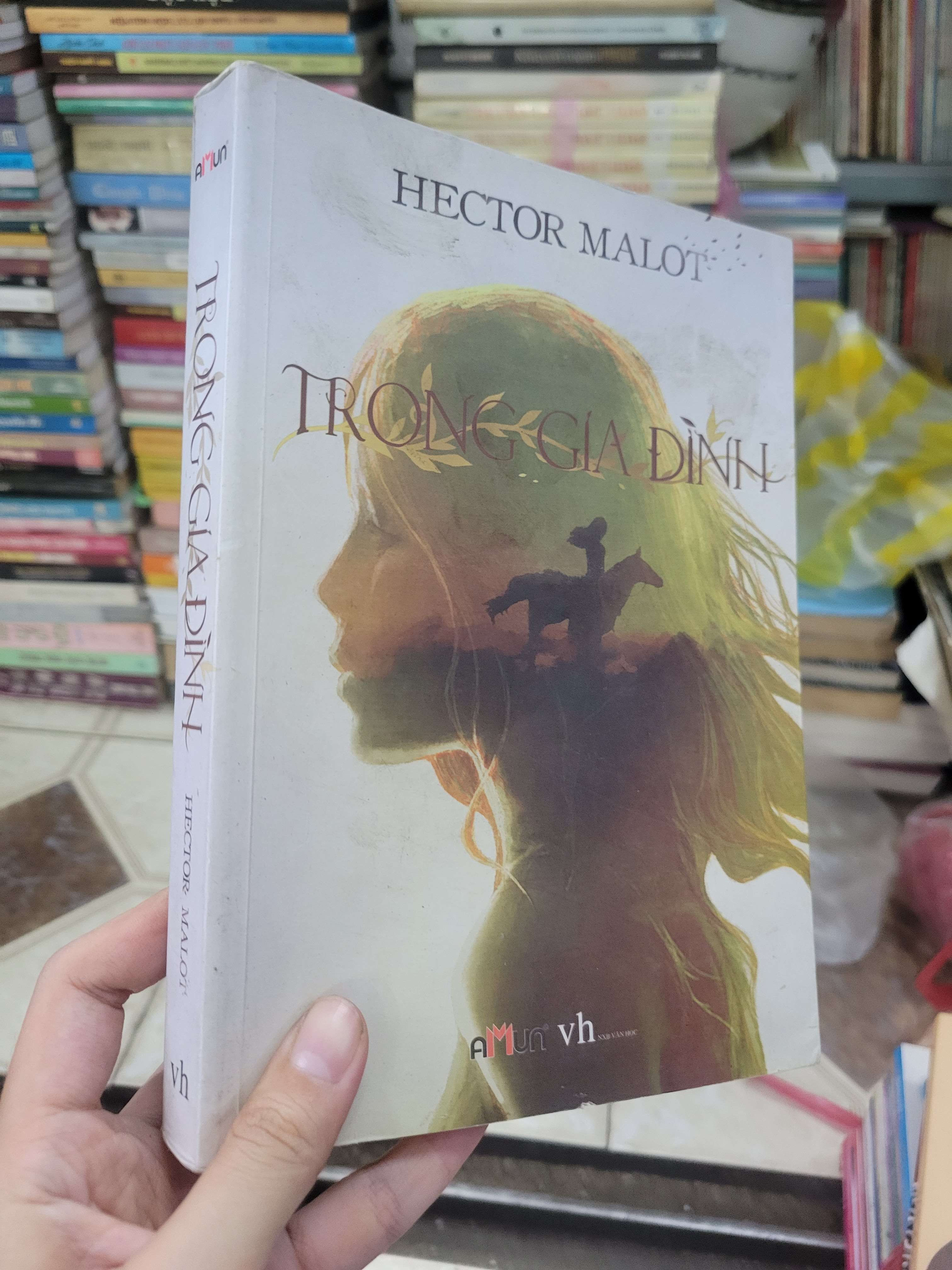 Trong gia đình - Hector Malot 2015 mới 80% (Sách văn học) BGB