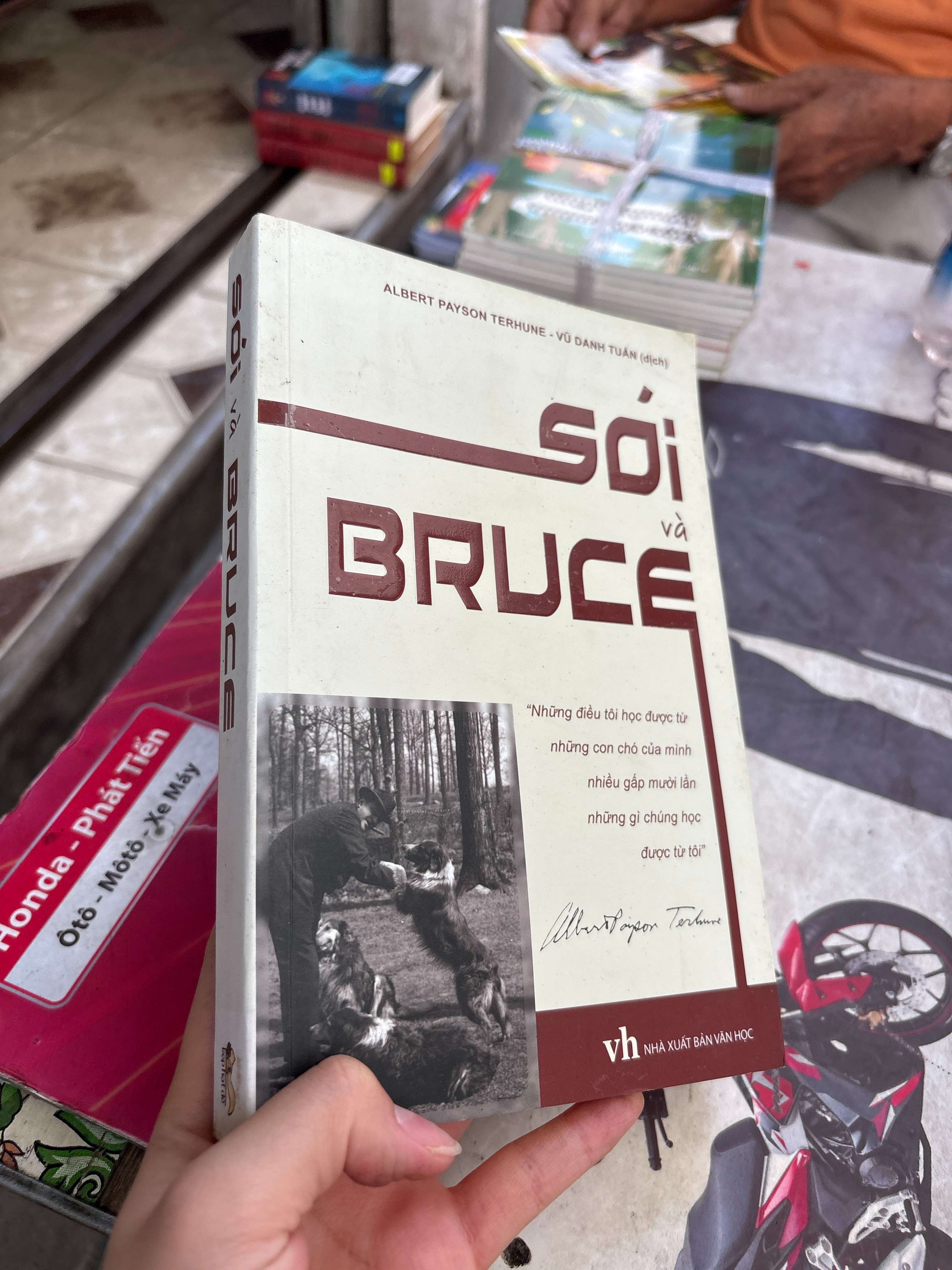 Sói và Bruce - Albert Payson Terhune 2016 mới 80% (Sách văn học) BGB