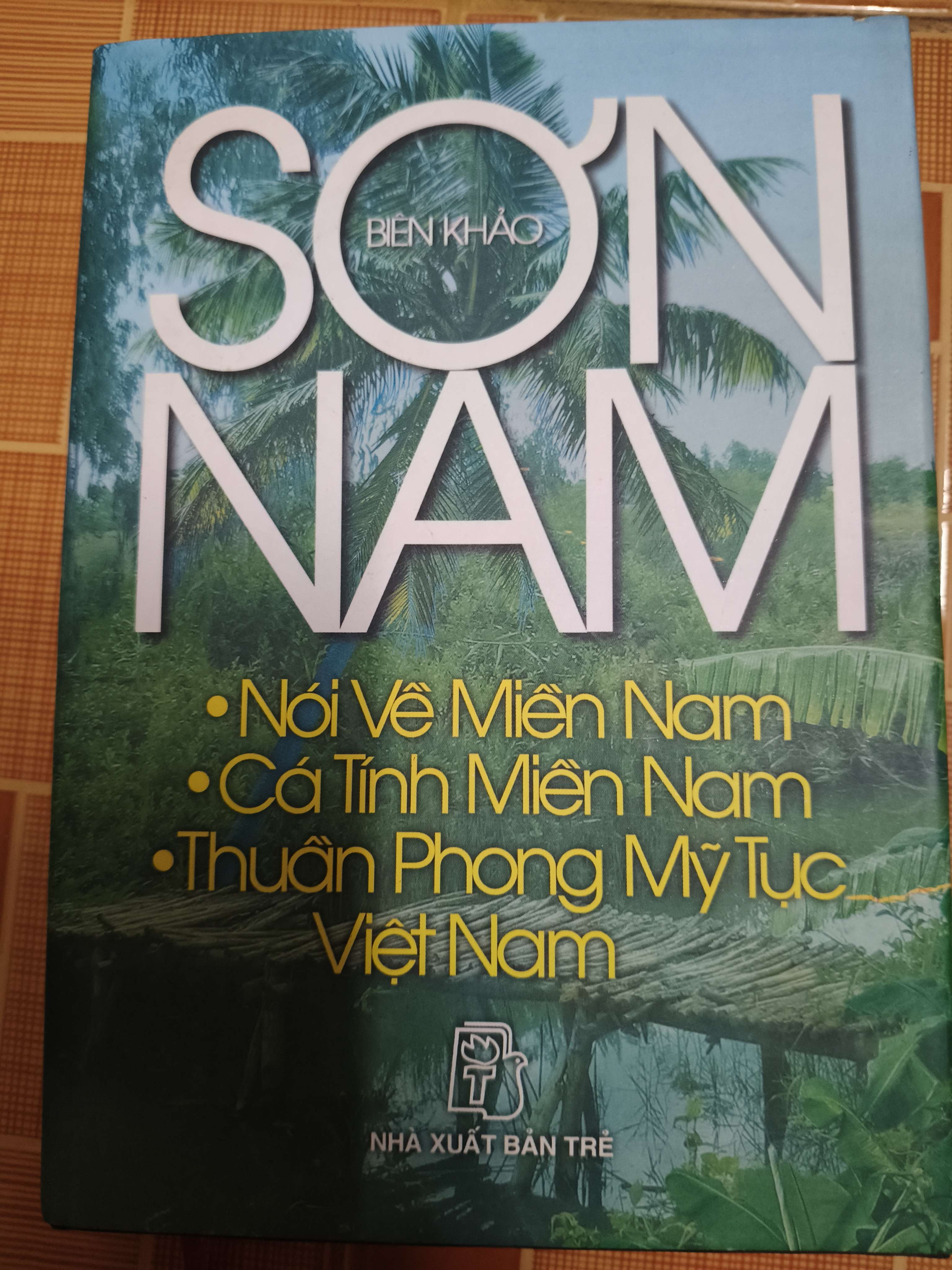 Sơn Nam Nói về Miền Nam Cá tính Miền Nam Thuần phong mỹ tục Việt Nam (Bìa cứng) (Lịch sử Việt Nam) ANTQ