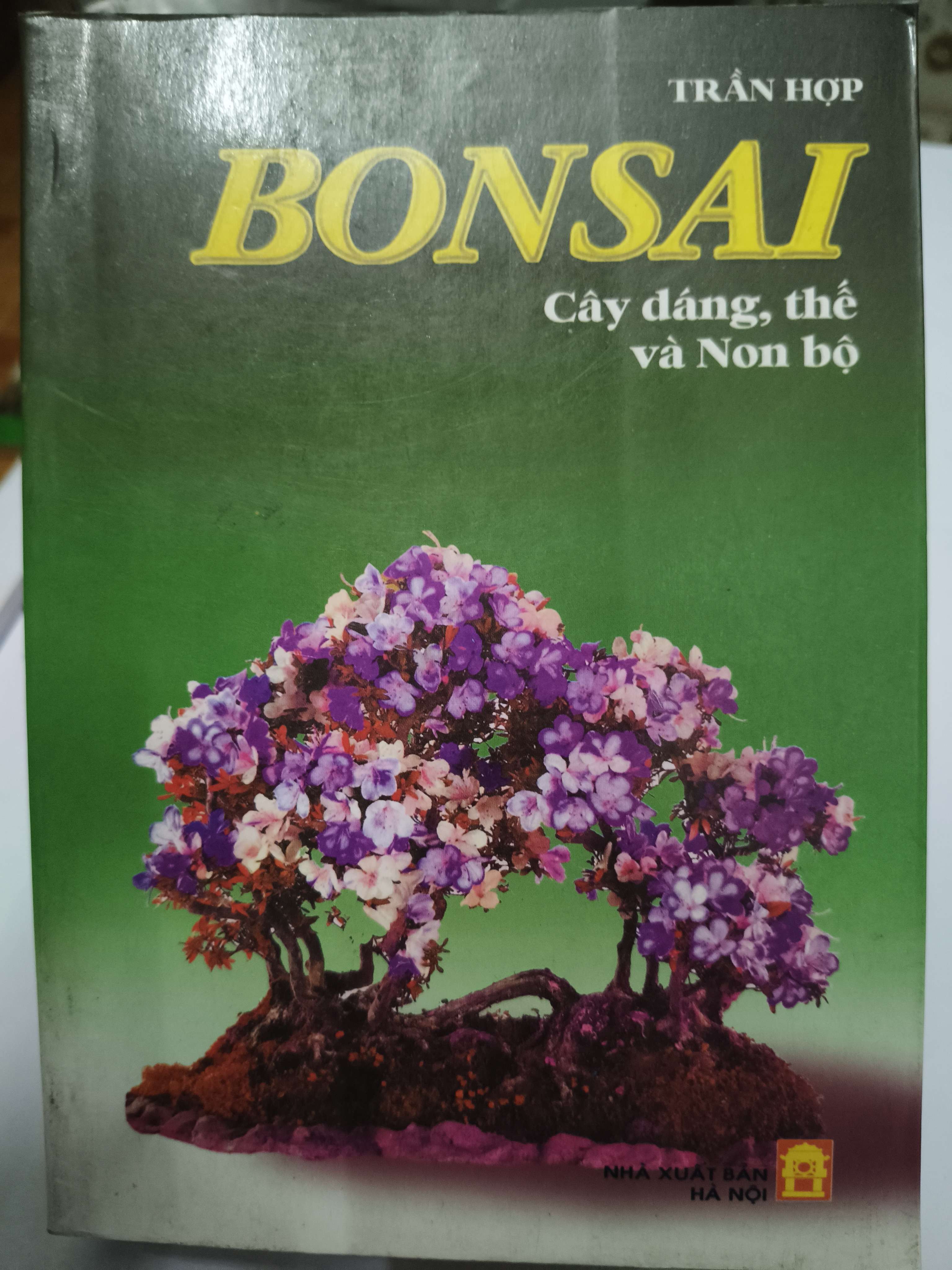 Bonsai cây dáng, thế và non bộ (Kỹ năng sống) ANTQ
