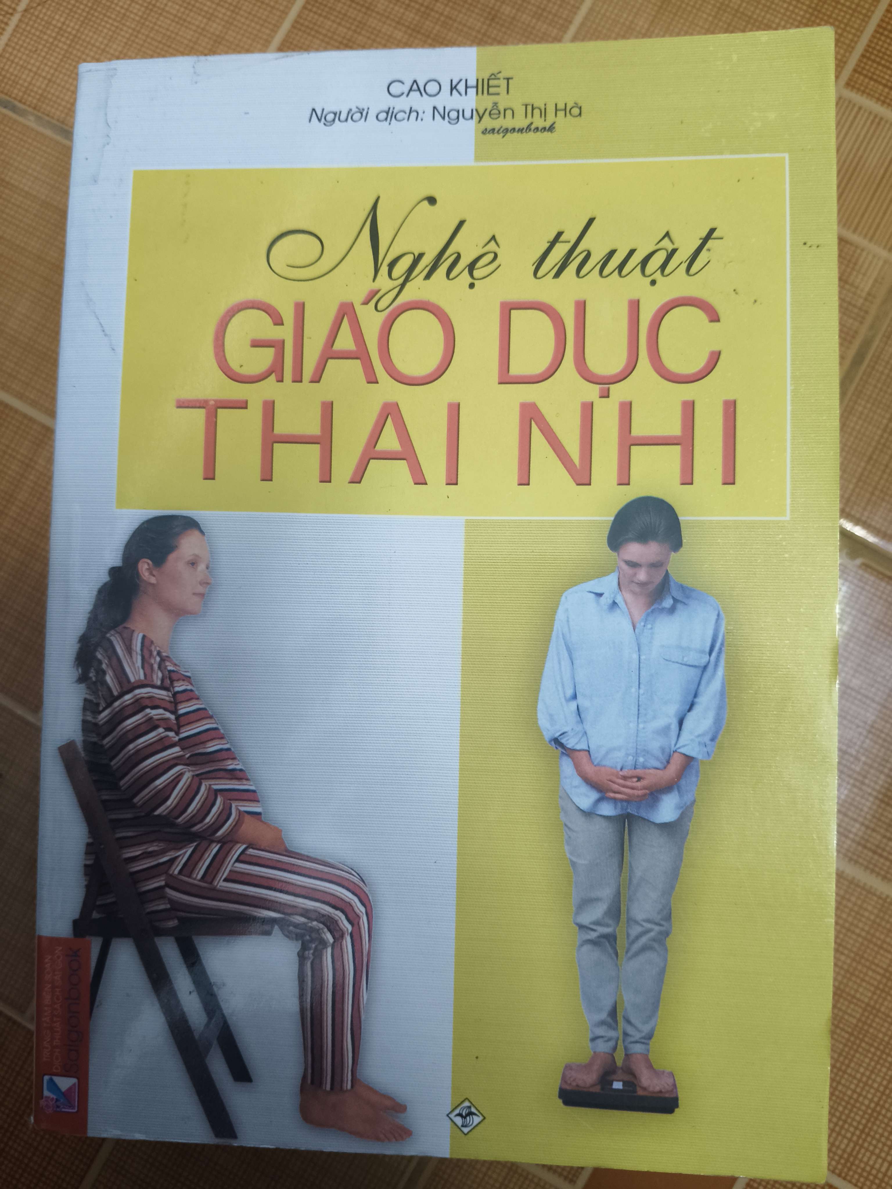 Nghệ thuật giáo dục thai nhi (Sách thai giáo) ANTQ