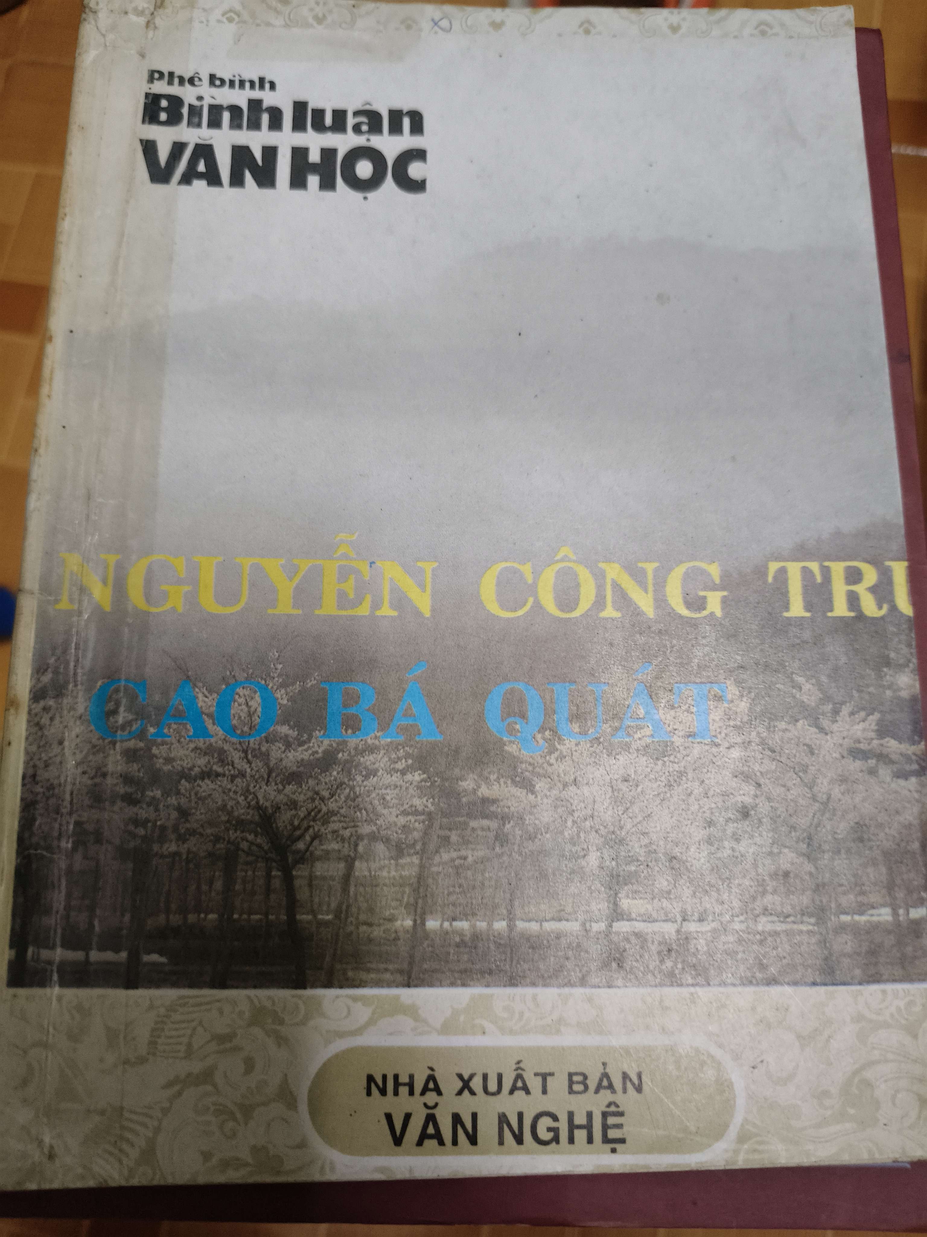 Phê bình bình luận văn học Nguyễn Công Trứ Cao Bá Quát (Sách văn học) ANTQ