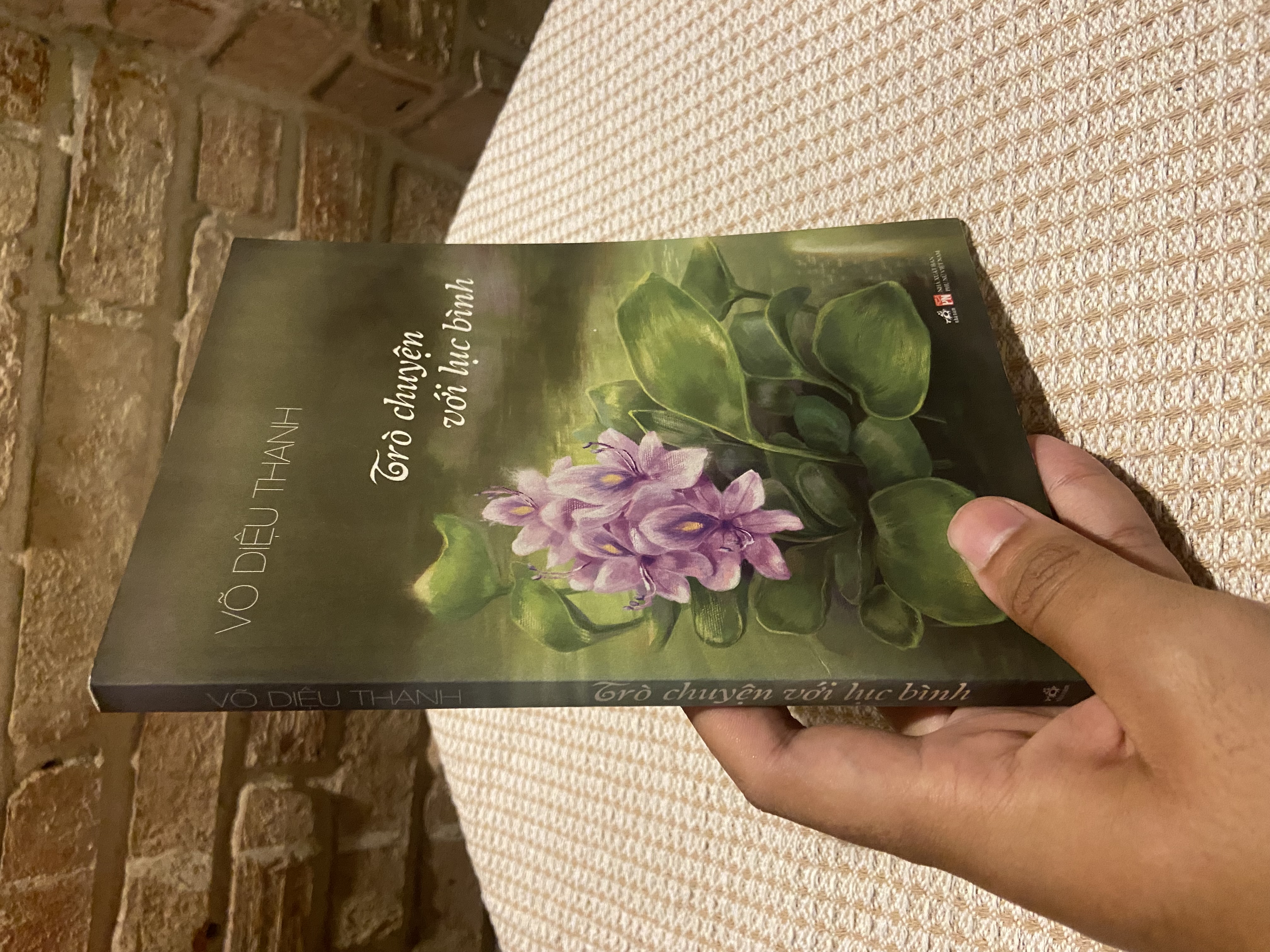 Trò chuyện với lục bình - Võ Diệu Thanh