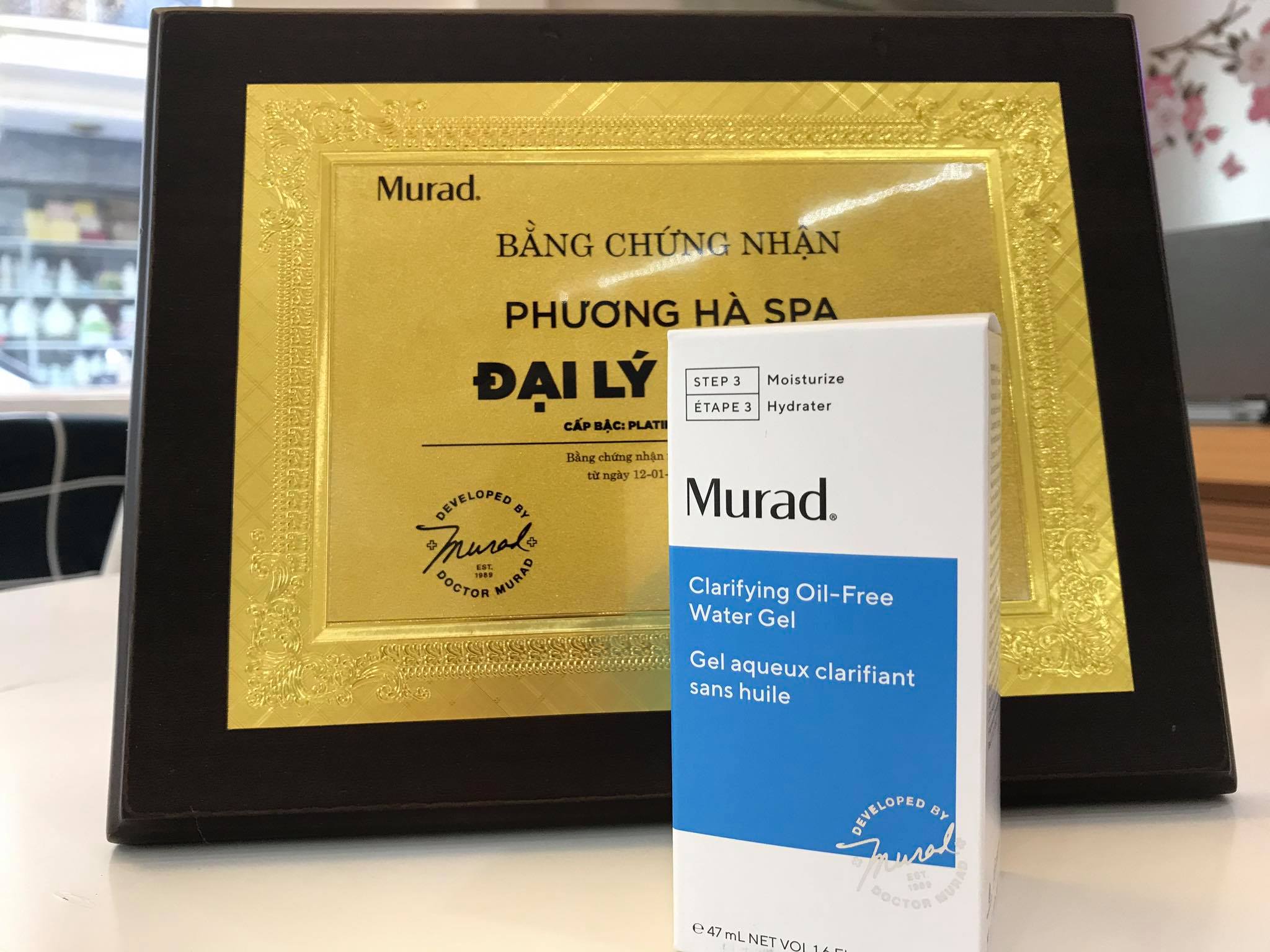 Review Murad Clarifying Oil-Free Water Gel