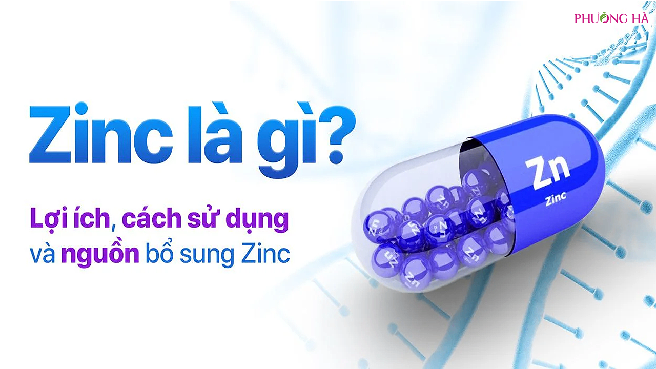 ZinC Là Gì? Lợi Ích Và Các Thực Phẩm Bổ Sung Kẽm Cho Cơ Thể?