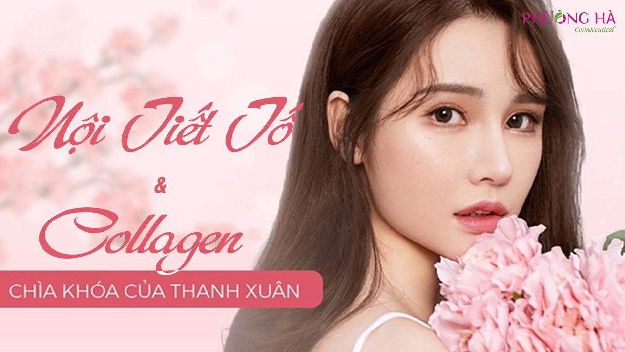 Collagen Và Nội Tiết Tó Có Giống Nhau Không?