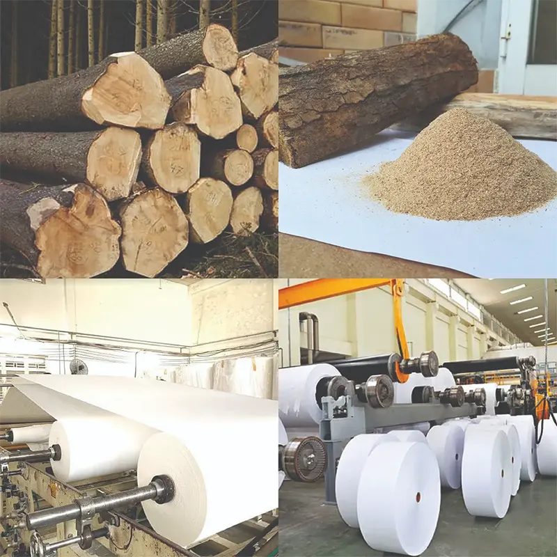 Ép định hình giấy vệ sinh