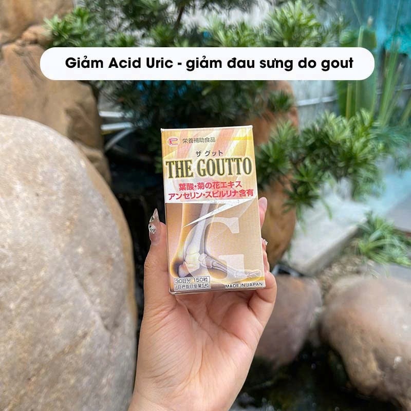Công dụng của The Goutto 240V