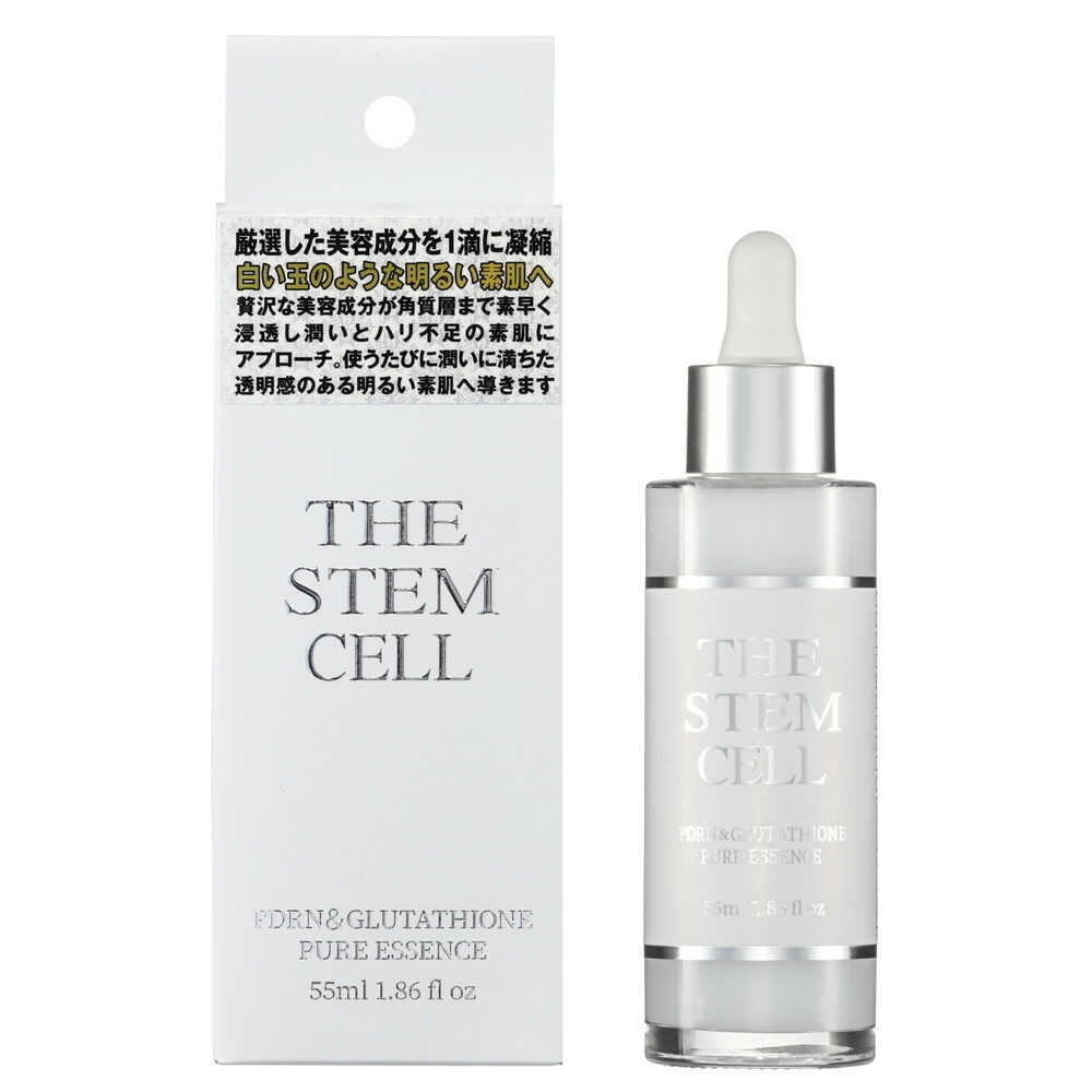 the stem cell.webp