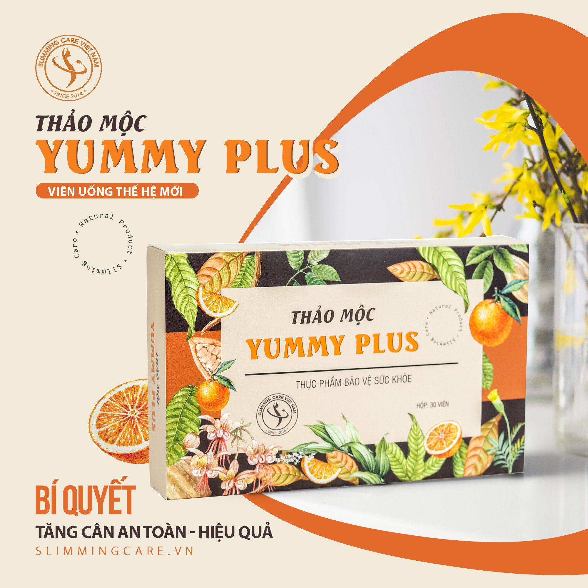 Tác Dụng Của Mầm Lúa Mạch Có Trong YUMMY PLUS Khiến Bạn Bất Ngờ