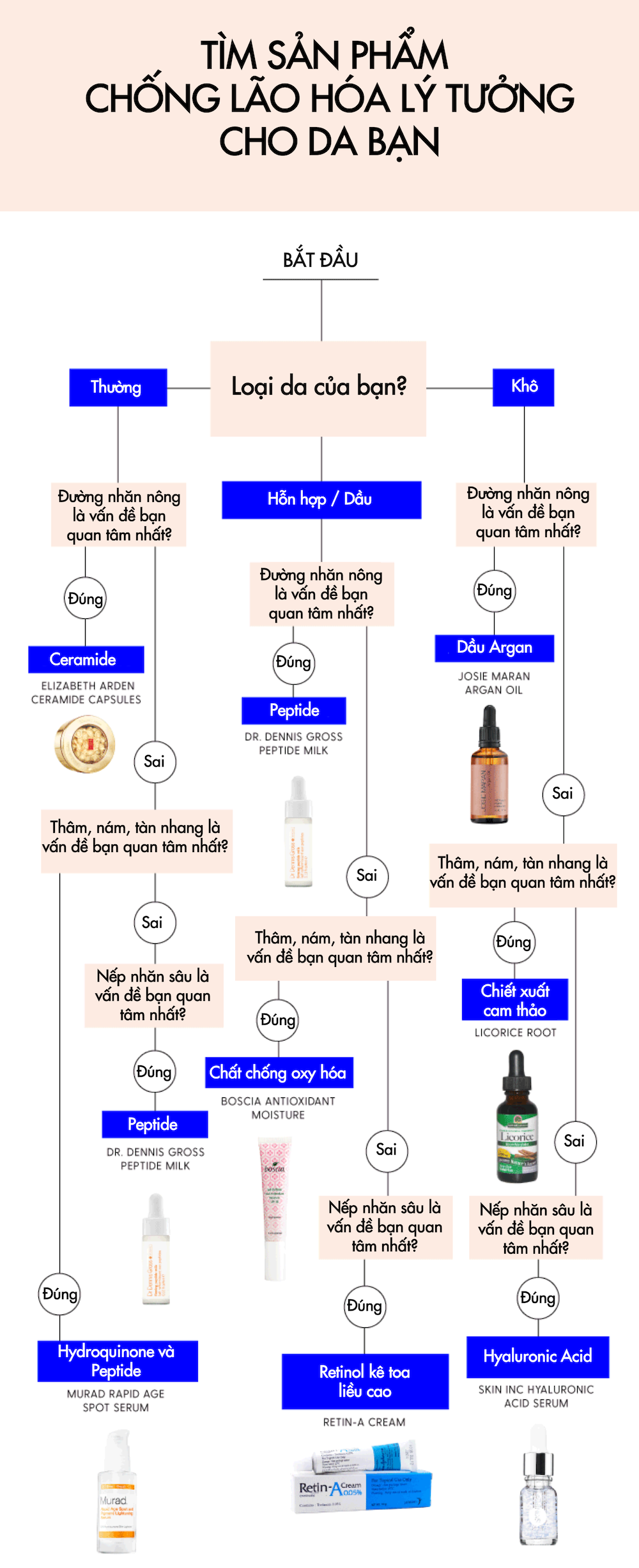 chong-lao-hoa-ly-tuong-info