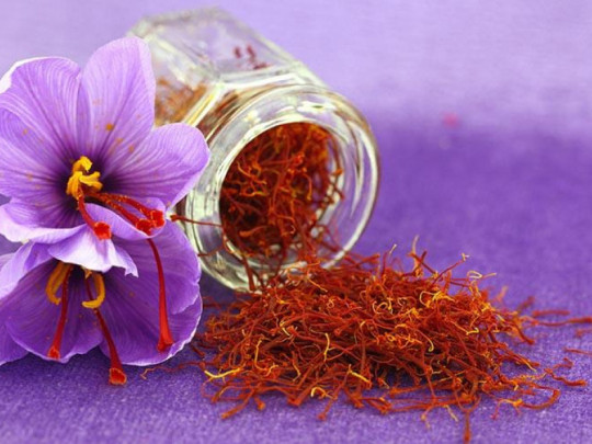 Nhụy Hoa Nghệ Tây Saffron Badiee (1GR)