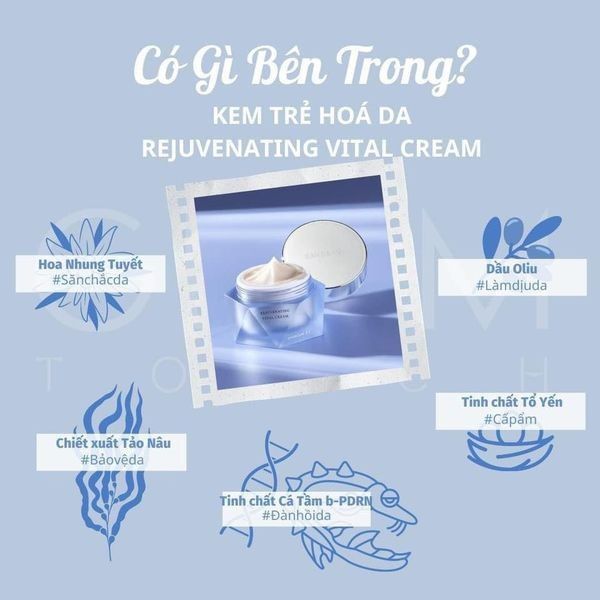 Kem Dưỡng Tái Tạo Trẻ hóa Da Banobagi Rejuvenating Vital Cream