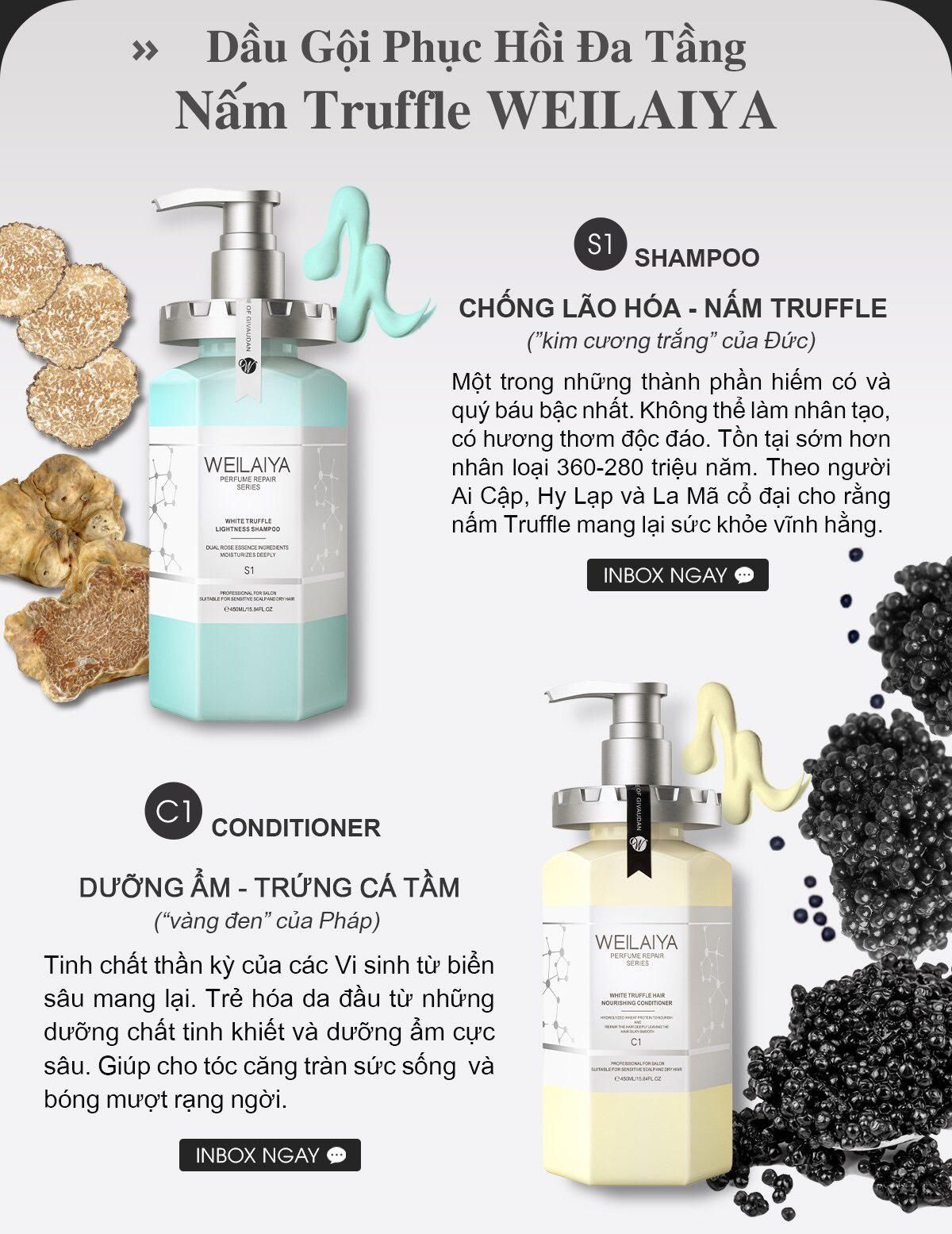 Combo Cặp dầu gội xả phục hồi Nấm Truffle Weilaiya và Ủ trắng da body vỏ hồ đào Weilaiya