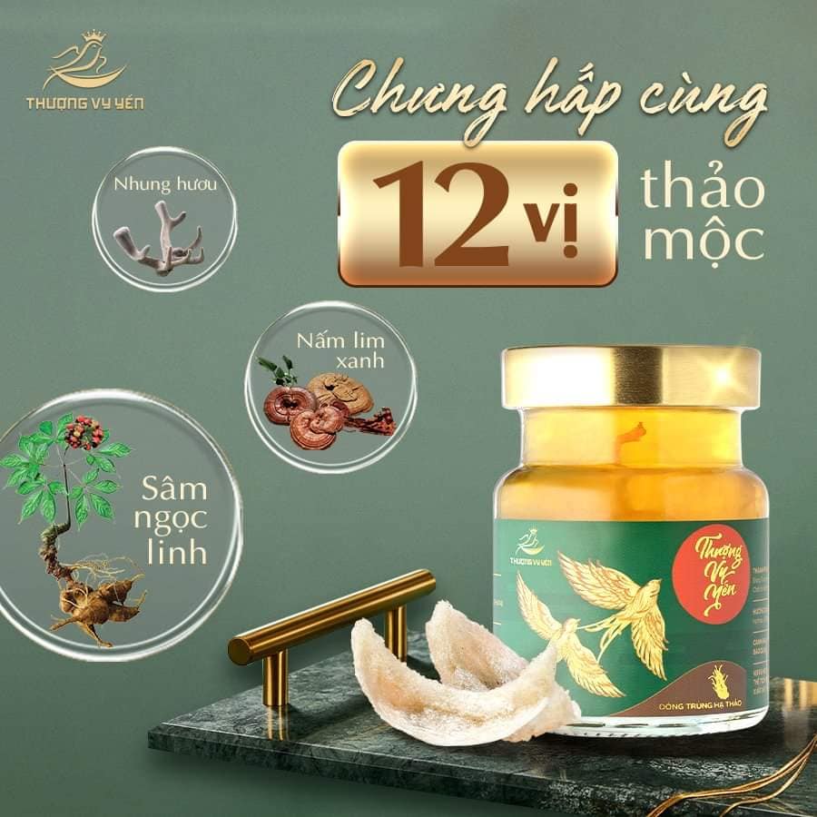 Thượng Vy Yến Biển Đông Trùng Hạ Thảo - Yến Sào Cao Cấp (Set 6 Hũ) - Tặng kèm túi