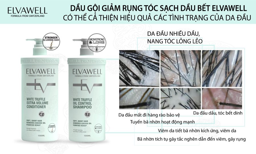 Dầu gội xả giảm rụng tóc sạch dầu bết Elvawell - 500ml (Màu xanh)